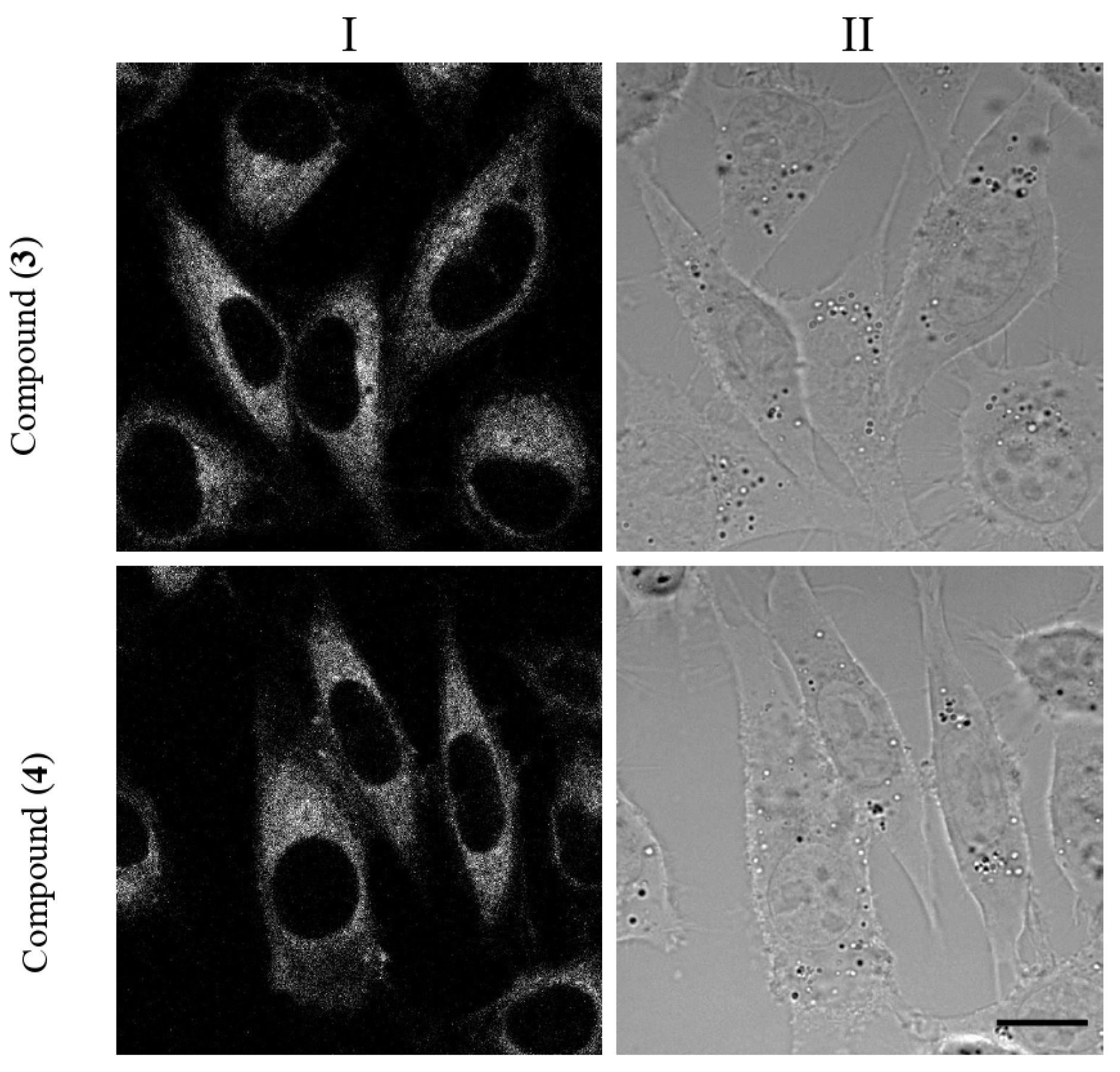 Molecules 26 07298 g006