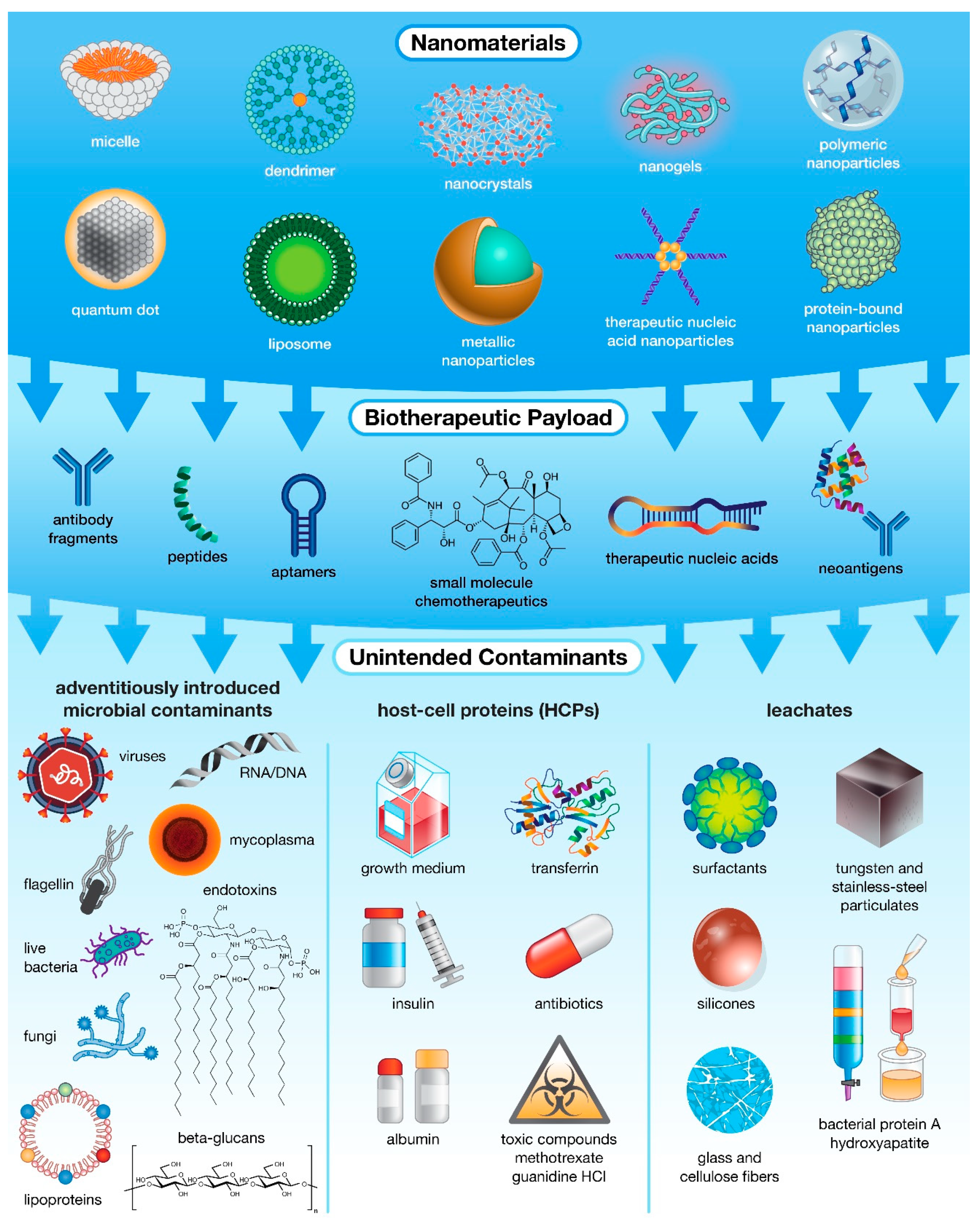 Molecules 26 07308 g001