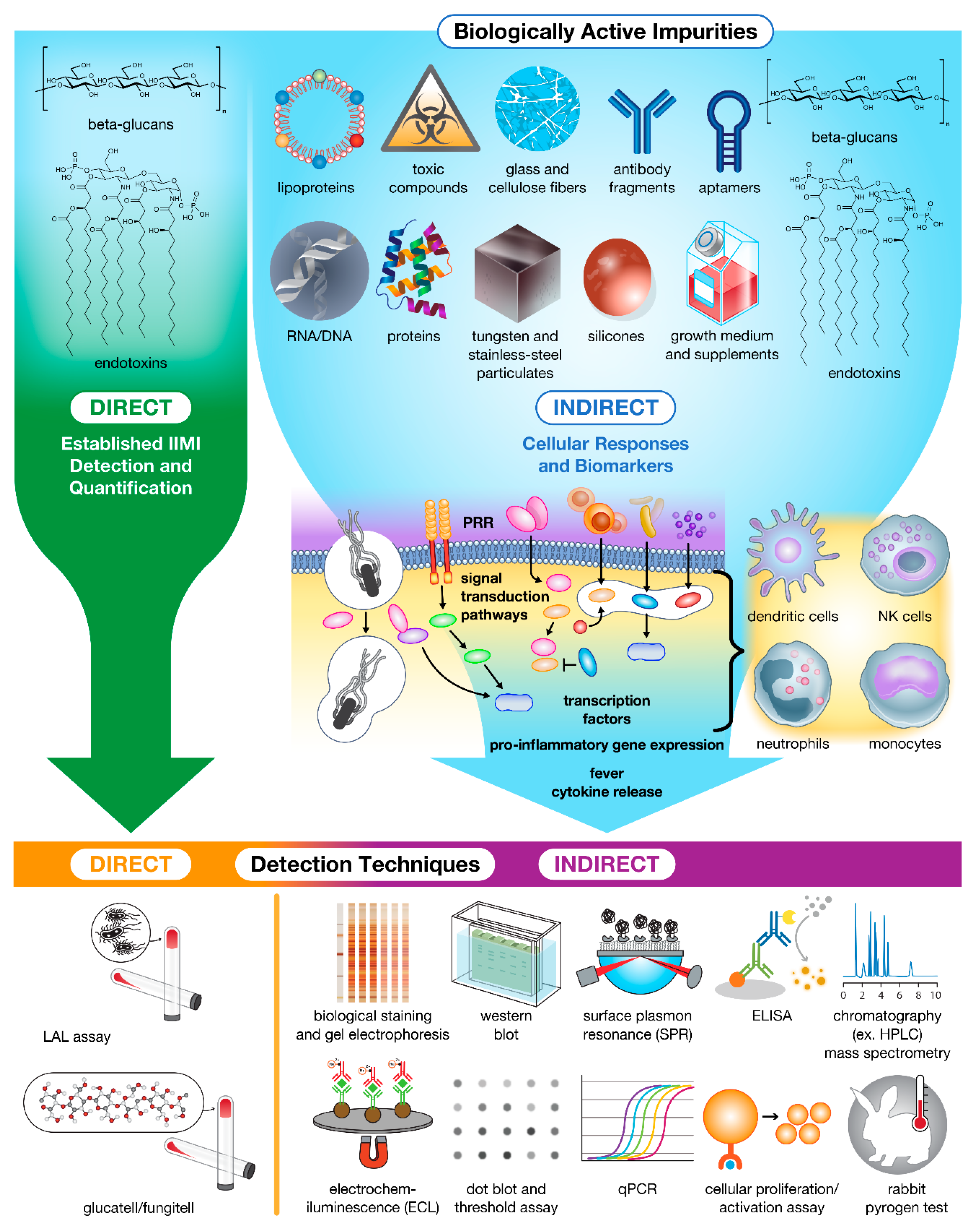 Molecules 26 07308 g002