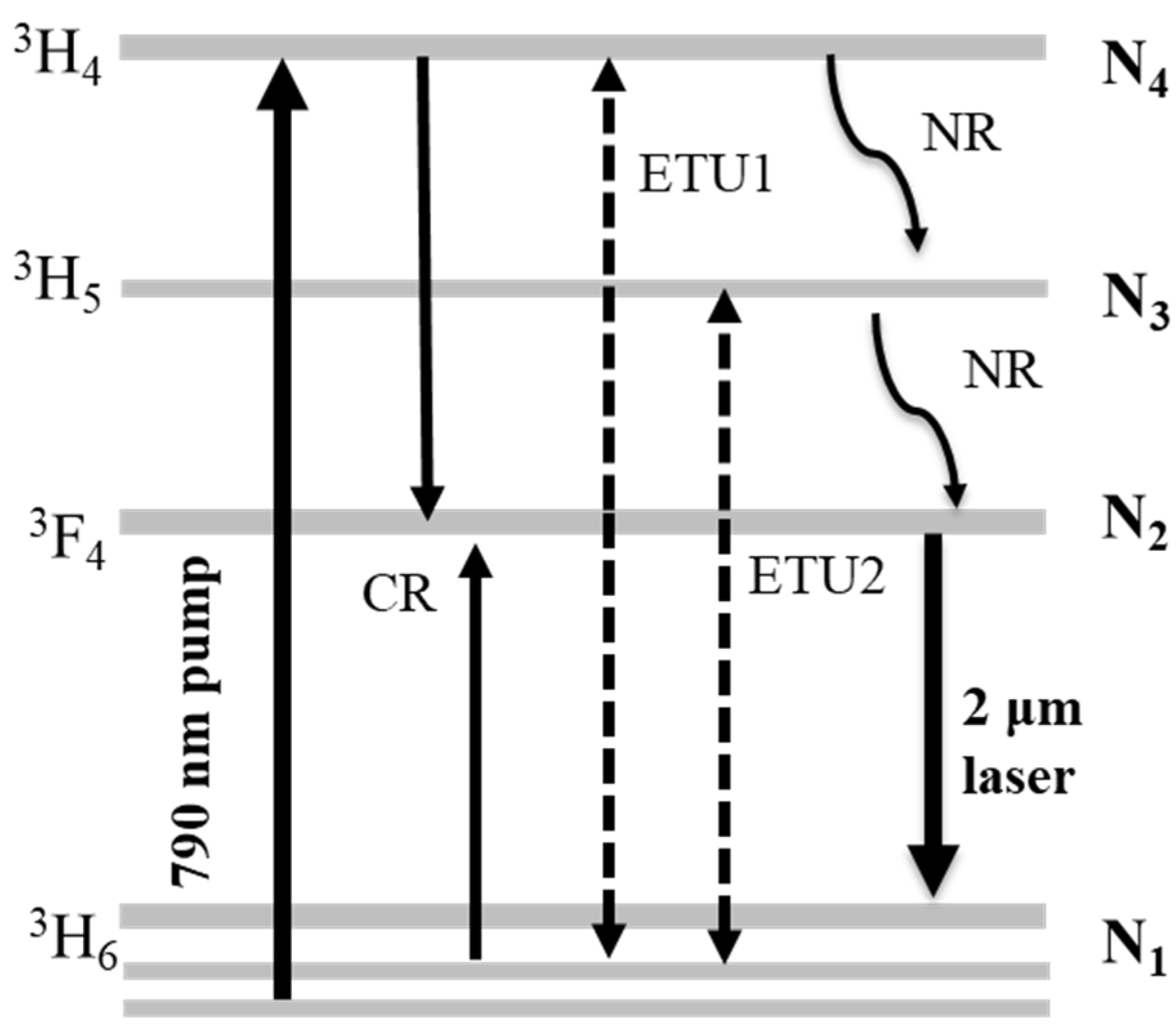 Molecules 26 07324 g005