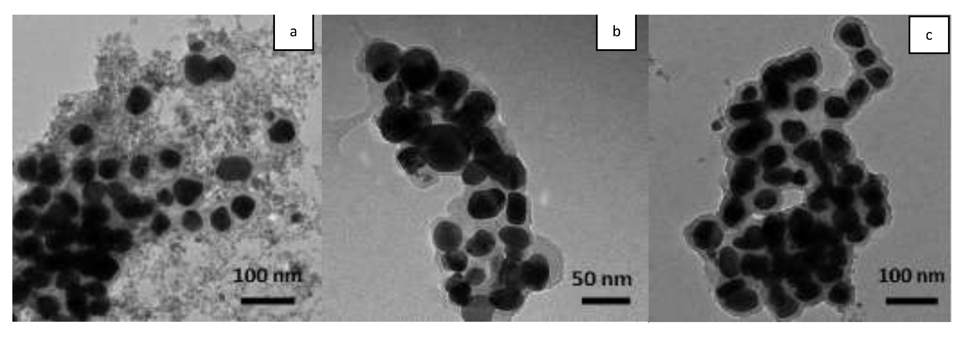 Molecules 26 07325 g001