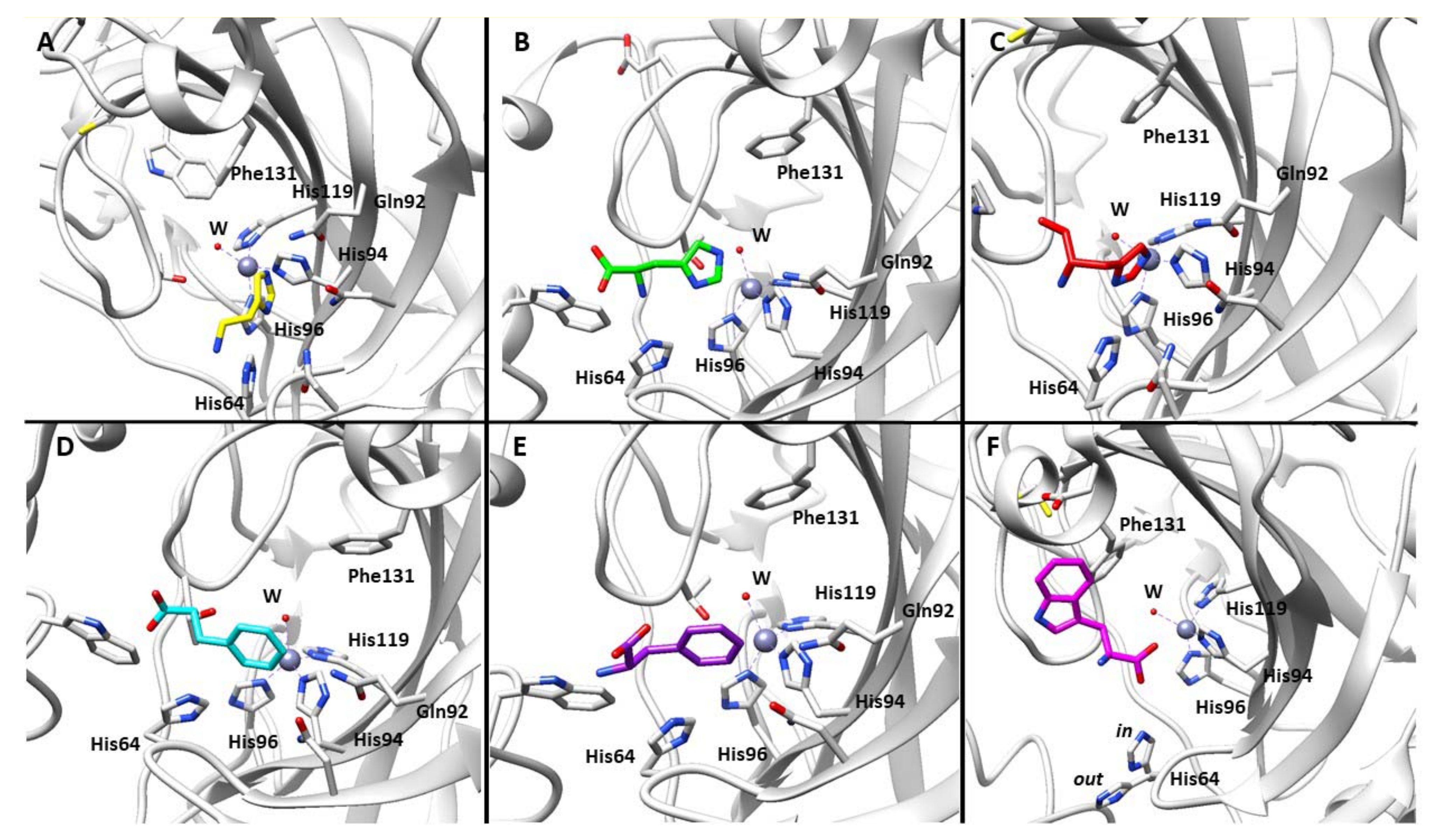 Molecules 26 07331 g001