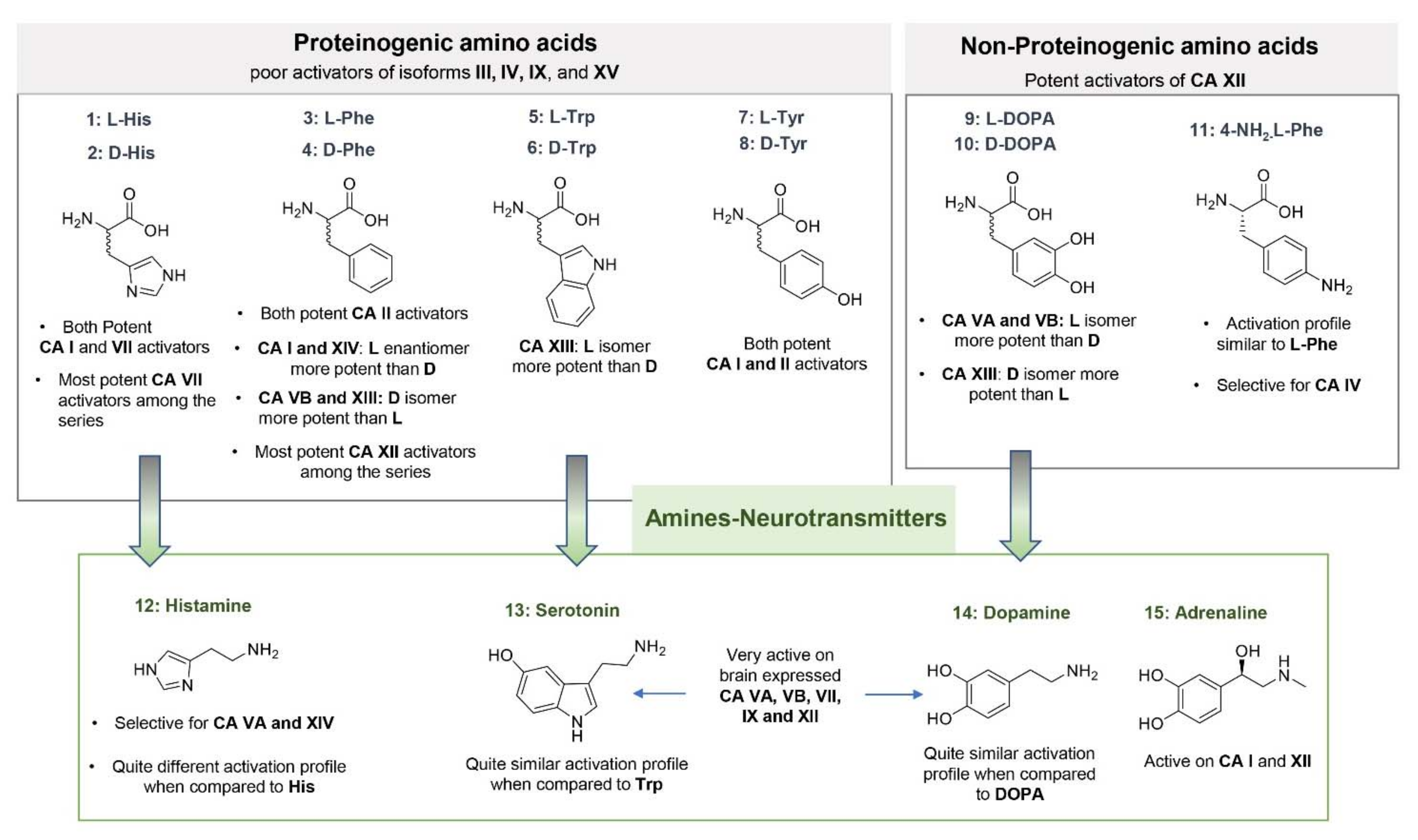 Molecules 26 07331 g003