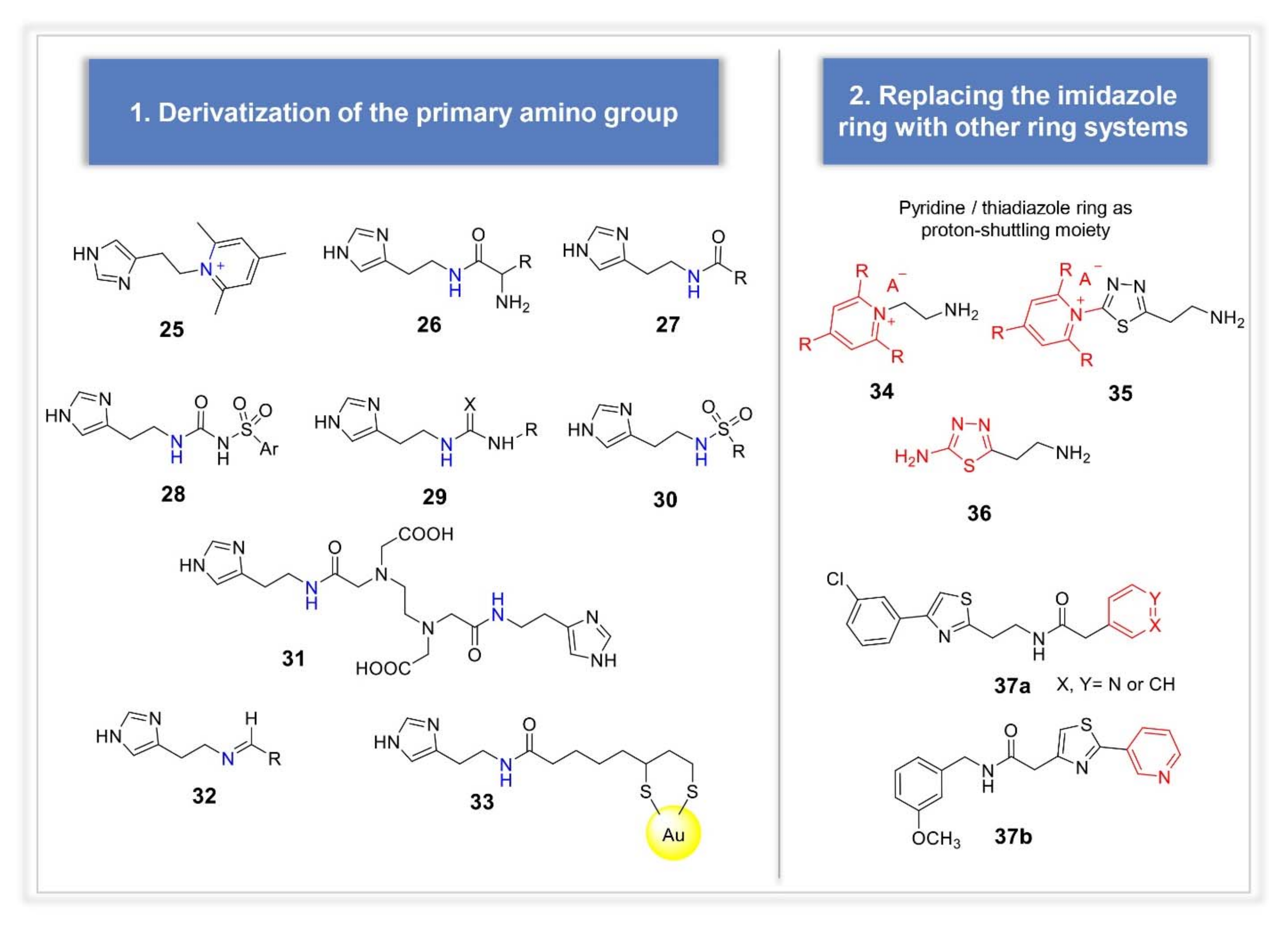 Molecules 26 07331 g006