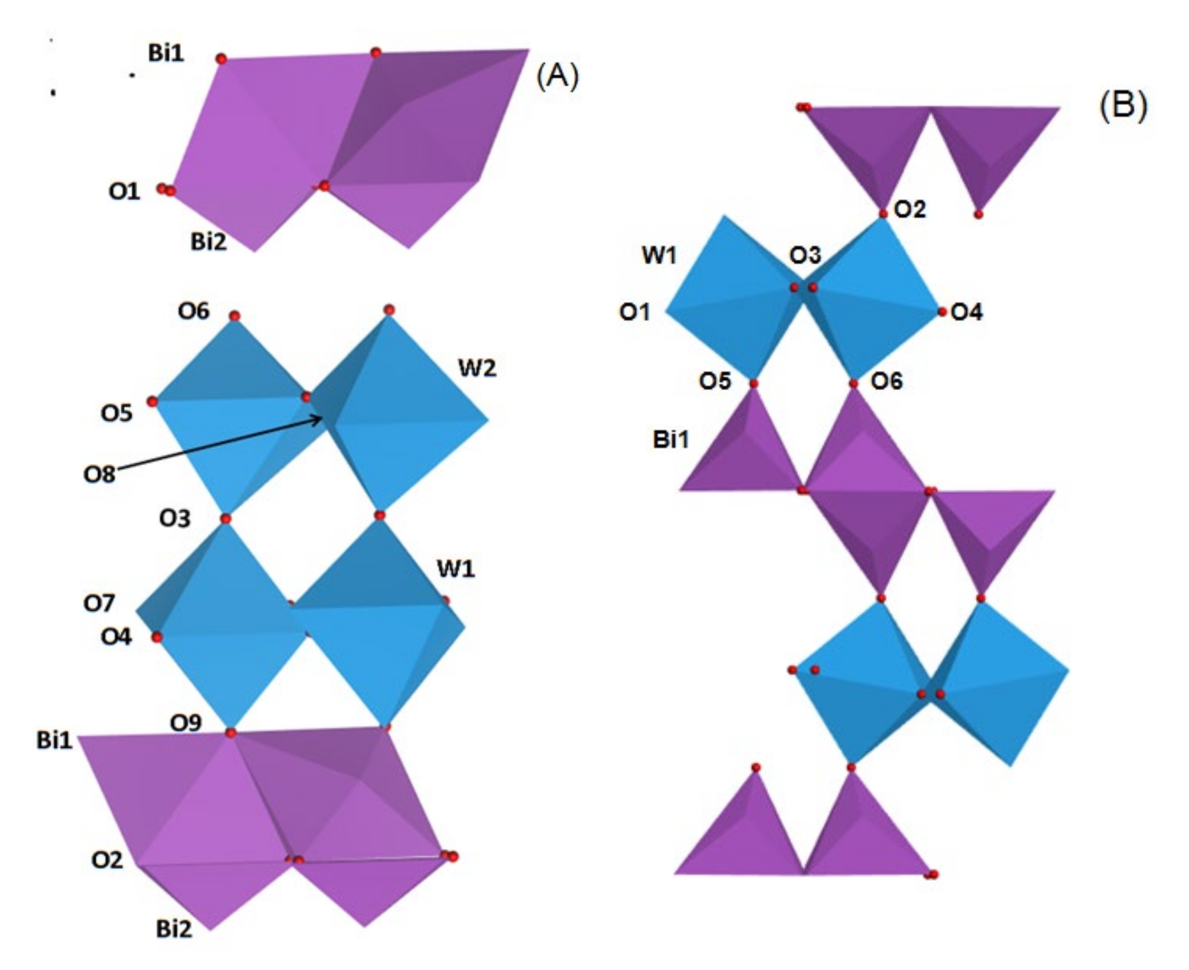 Molecules 26 07334 g002