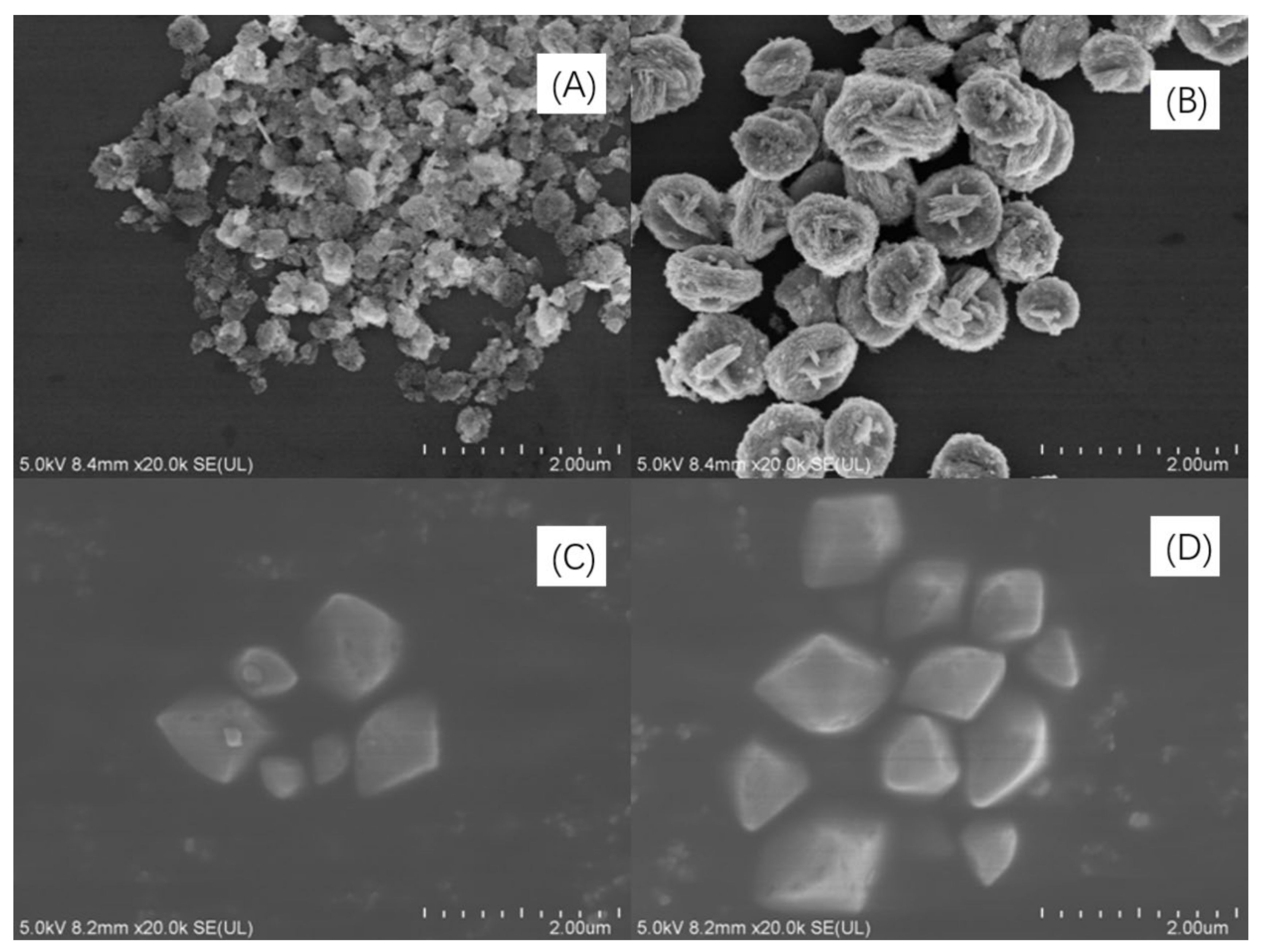 Molecules 26 07334 g003