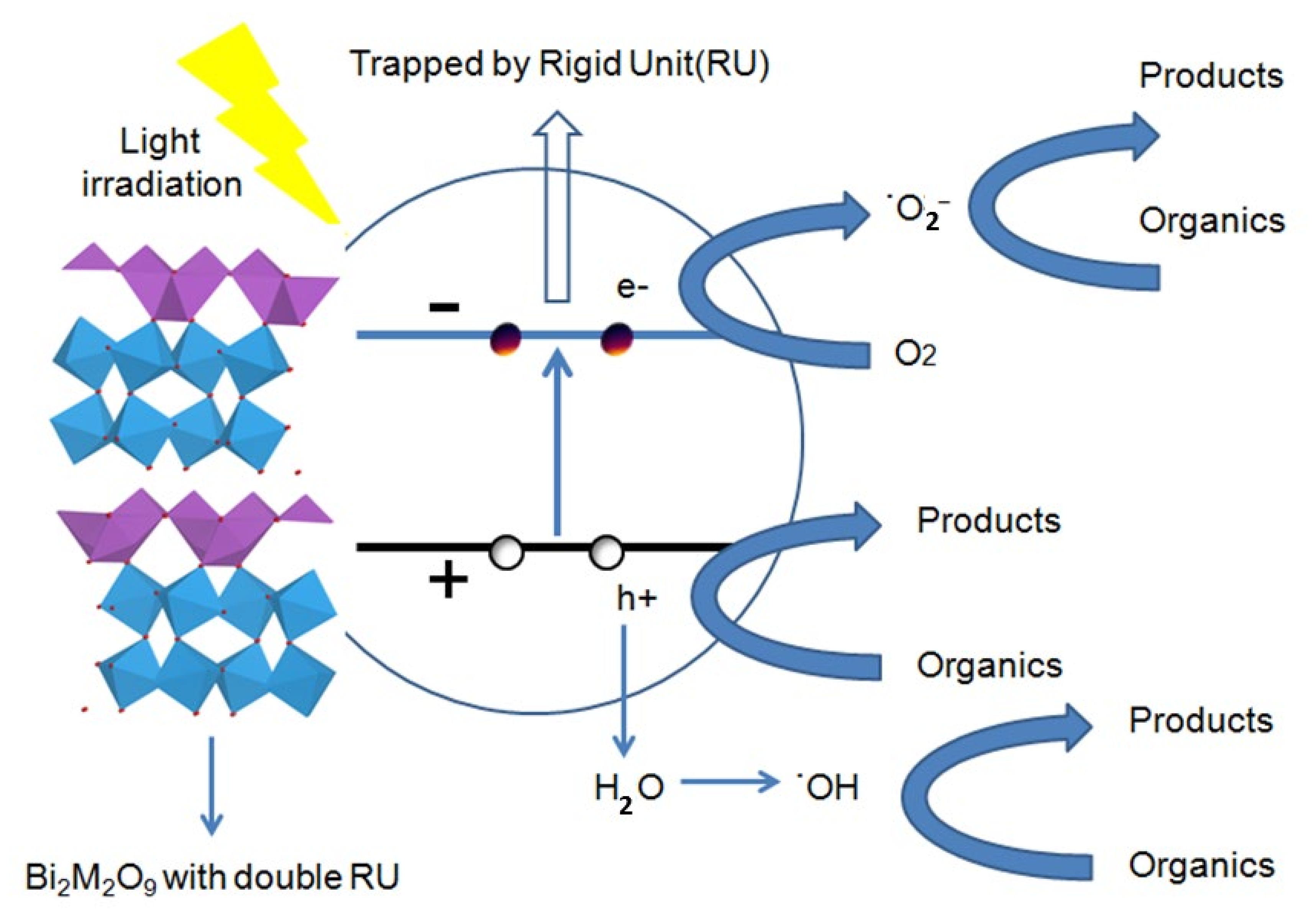 Molecules 26 07334 g012