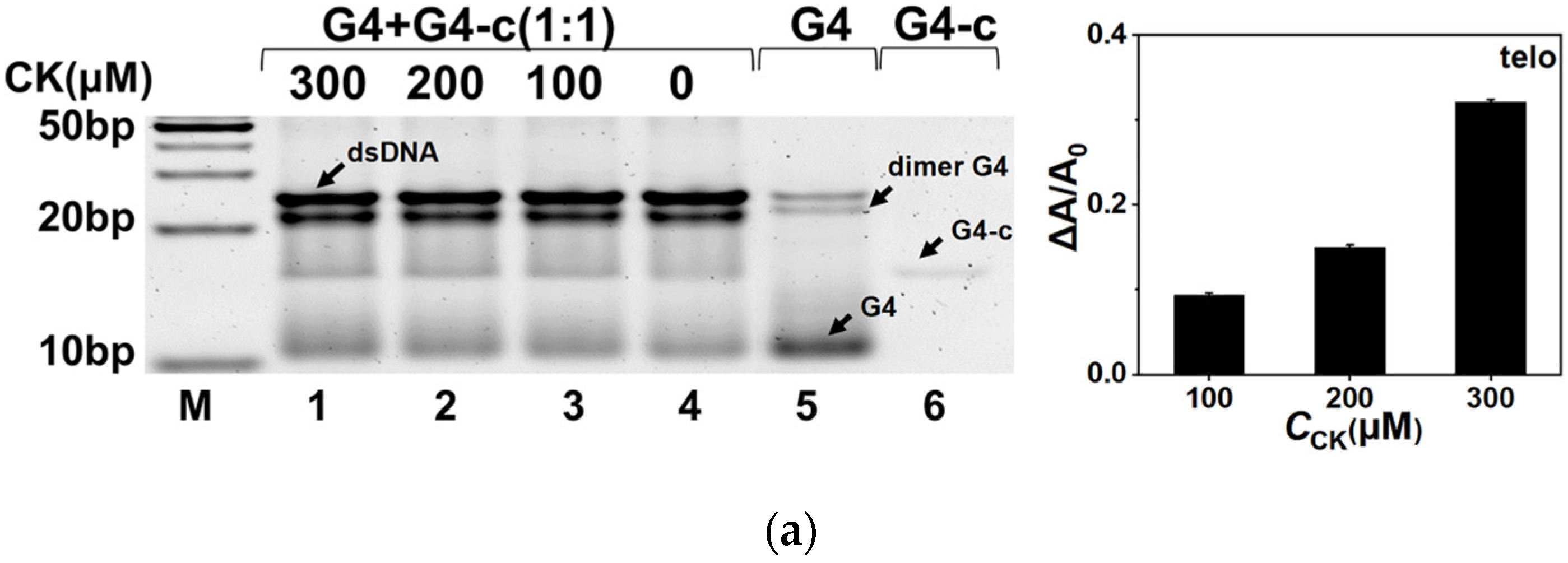 Molecules 26 07339 g004a