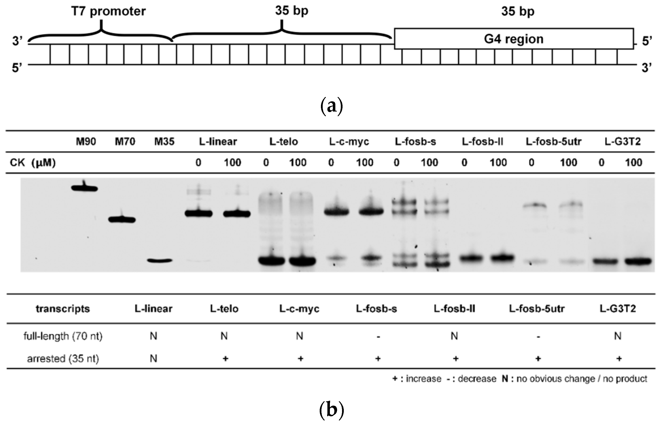 Molecules 26 07339 g006a