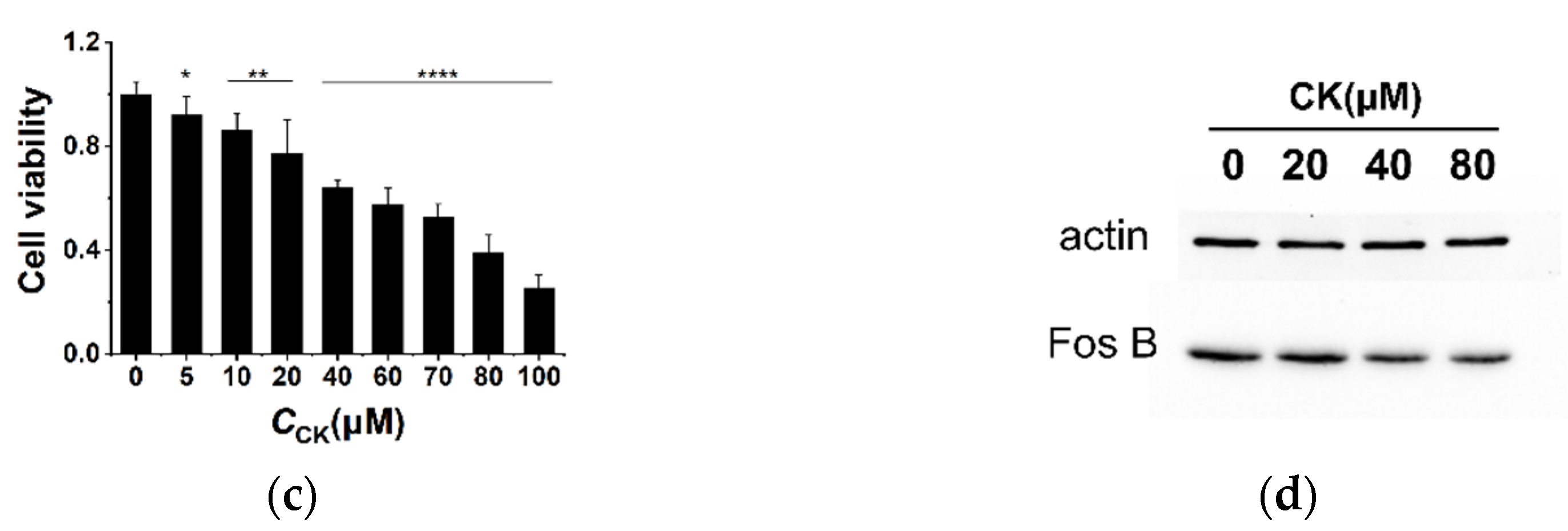 Molecules 26 07339 g006b