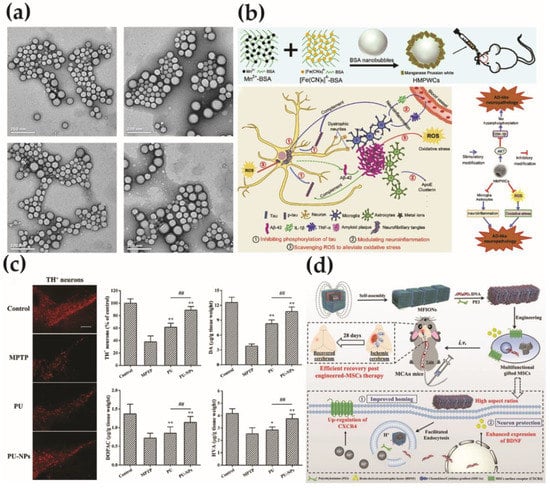 Molecules 26 07340 g001