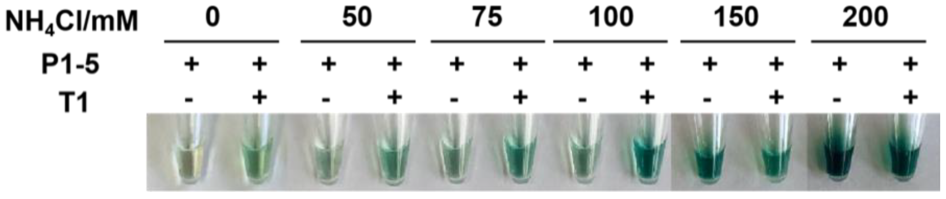 Molecules 26 07352 g001 Molecules 26 07352 g001