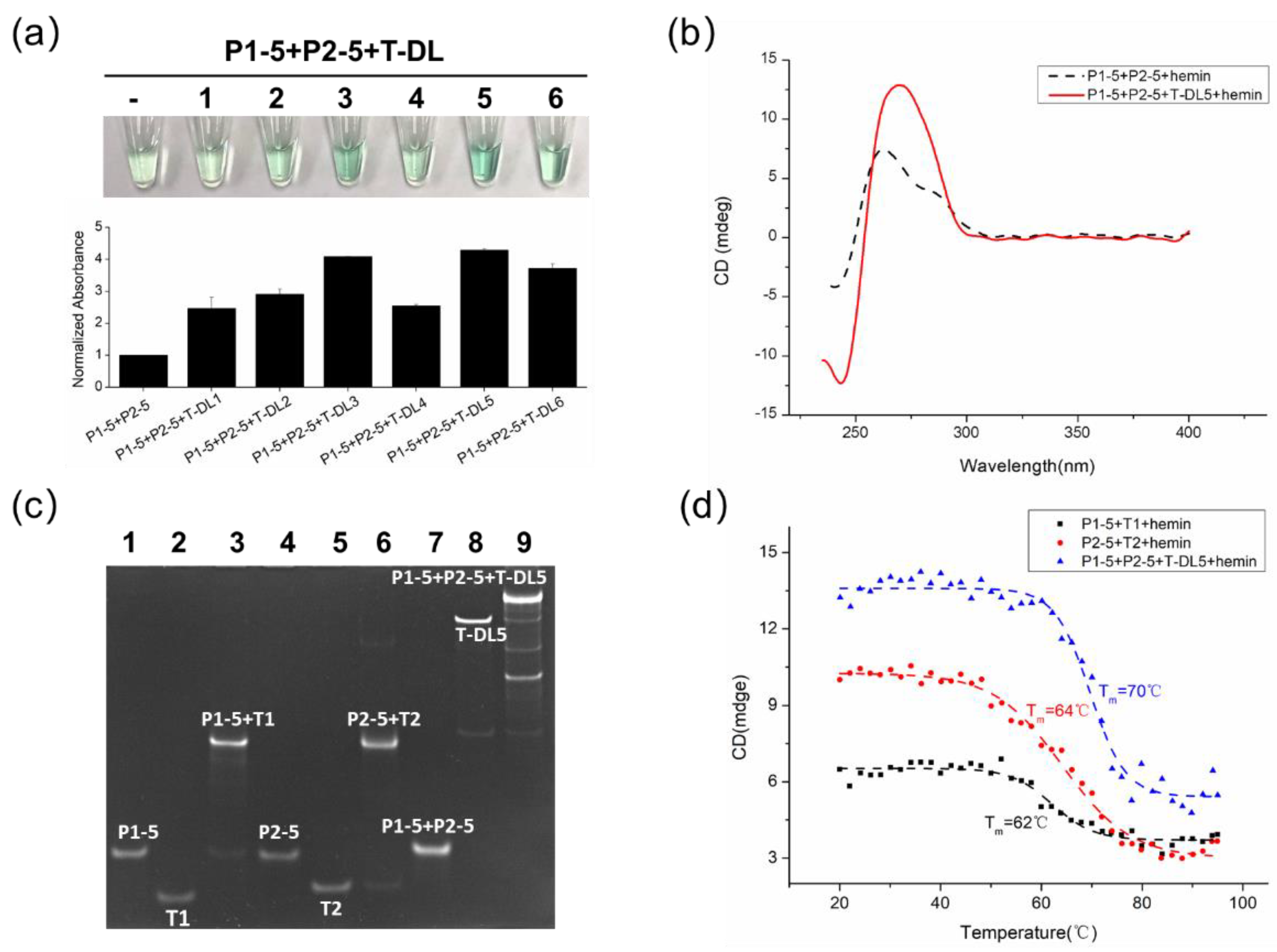 Molecules 26 07352 g004 Molecules 26 07352 g004