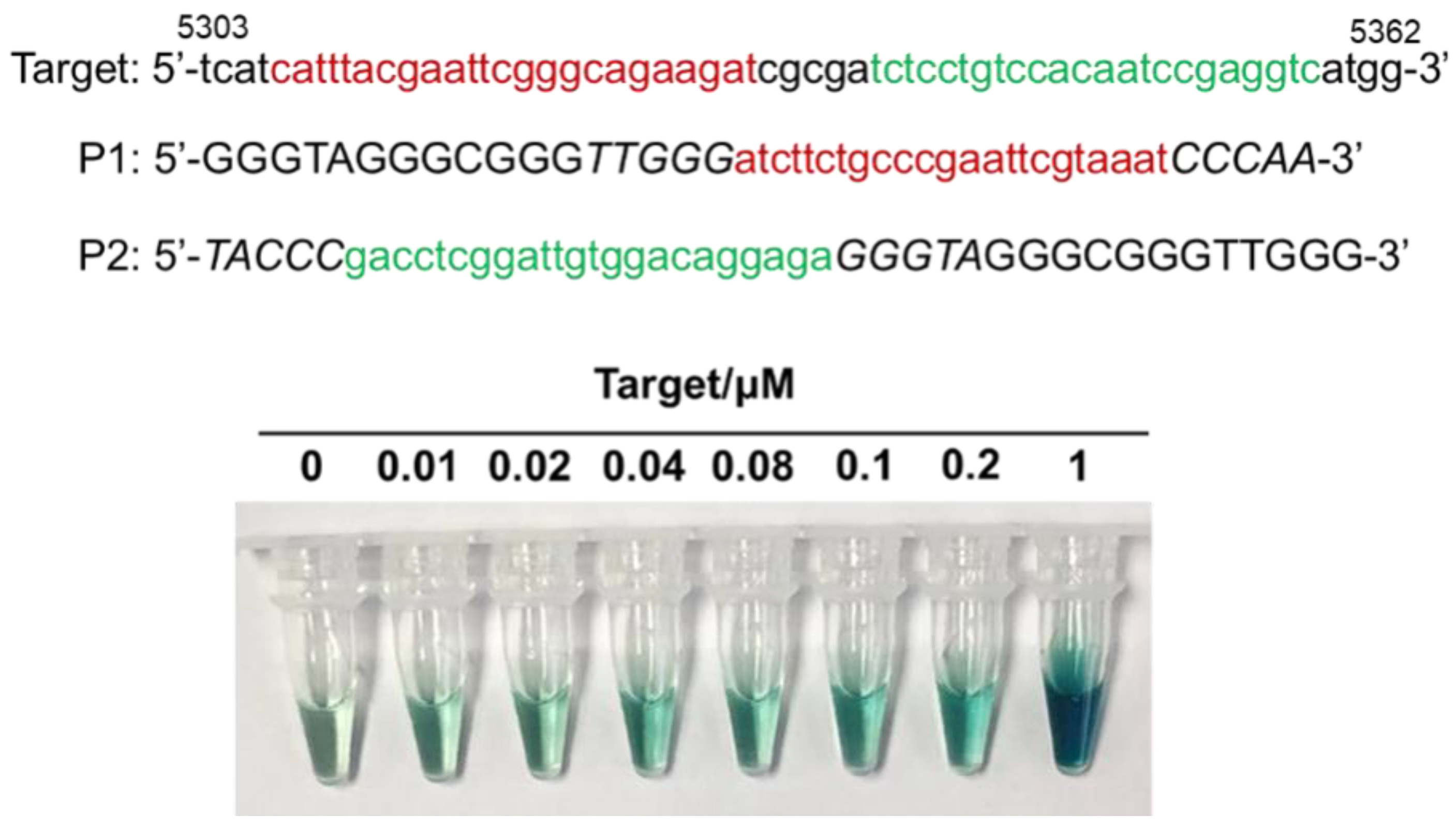 Molecules 26 07352 g006 Molecules 26 07352 g006