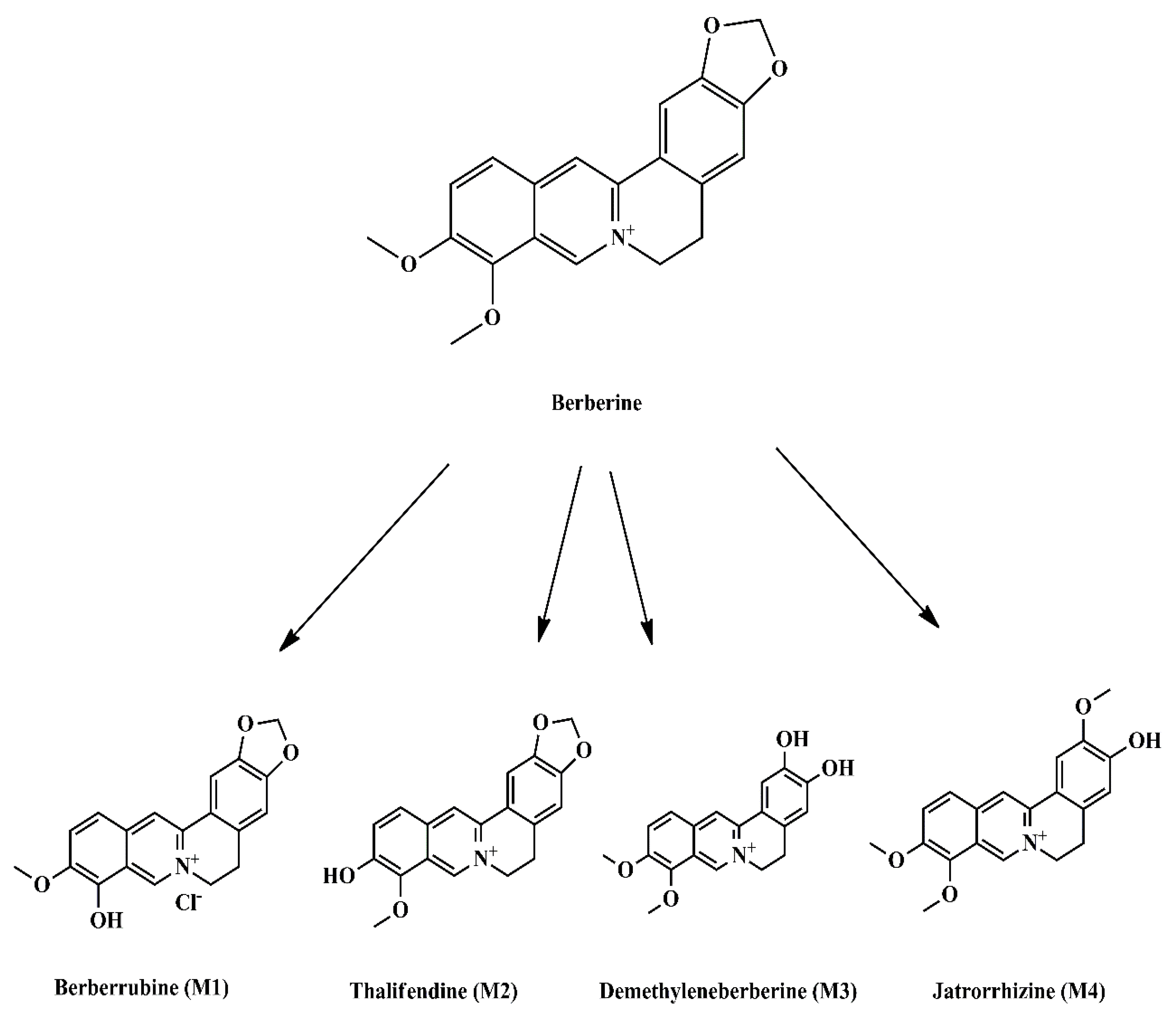 Molecules 26 07368 g001 Molecules 26 07368 g001