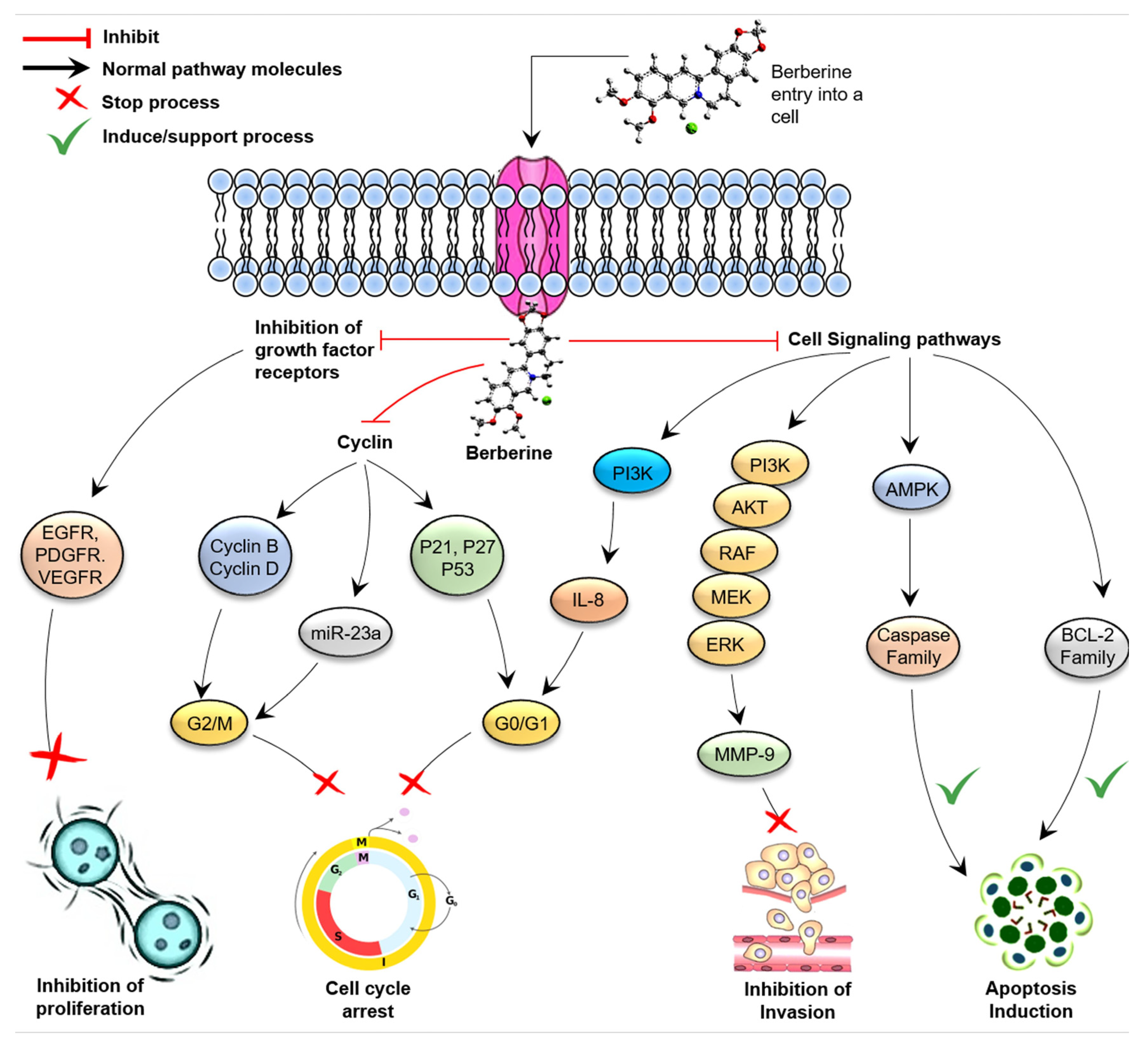 Molecules 26 07368 g002 Molecules 26 07368 g002