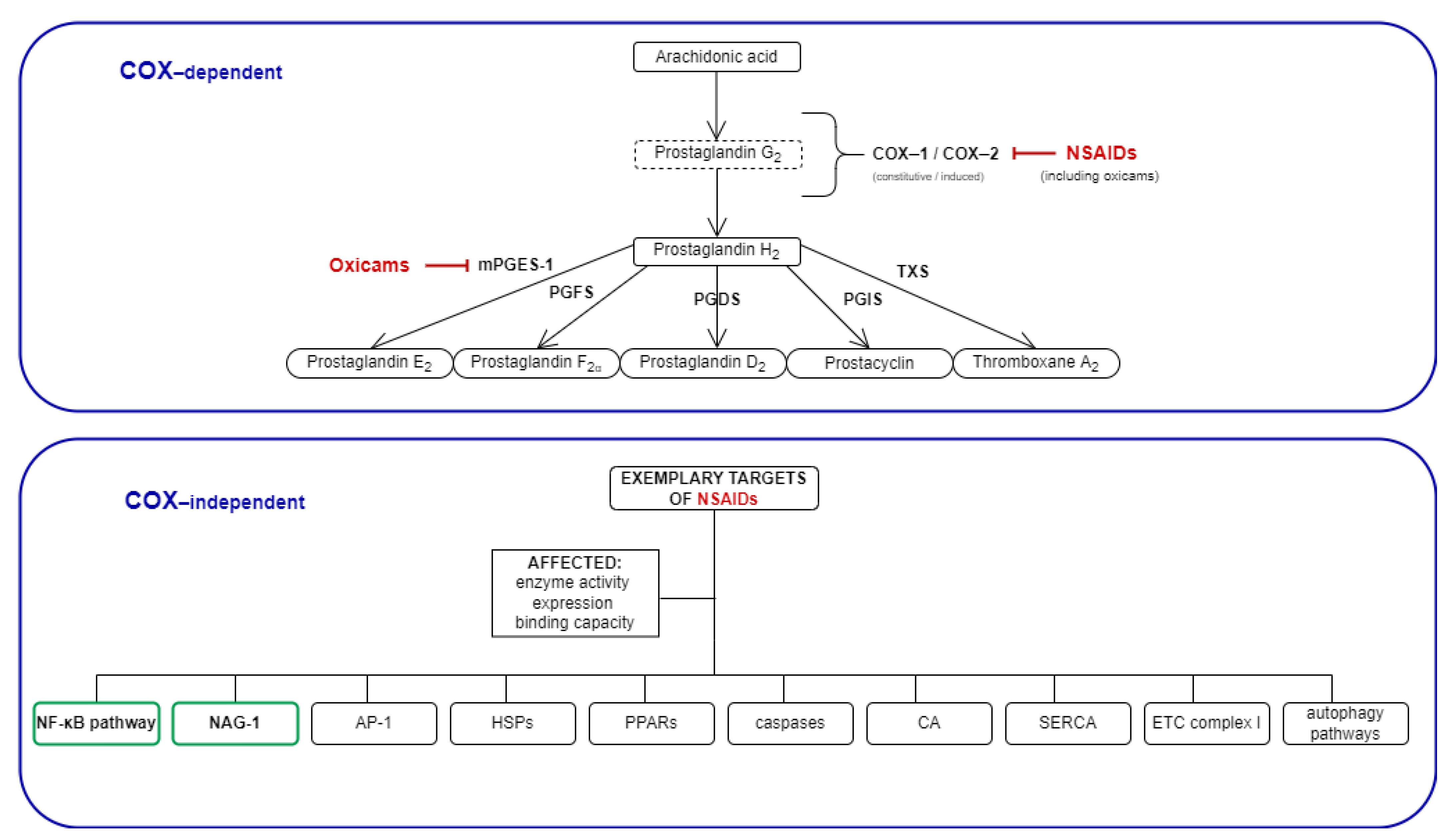 Molecules 26 07375 g001