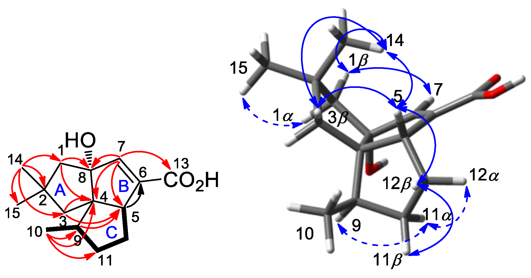 Molecules 26 07377 g001 Molecules 26 07377 g001