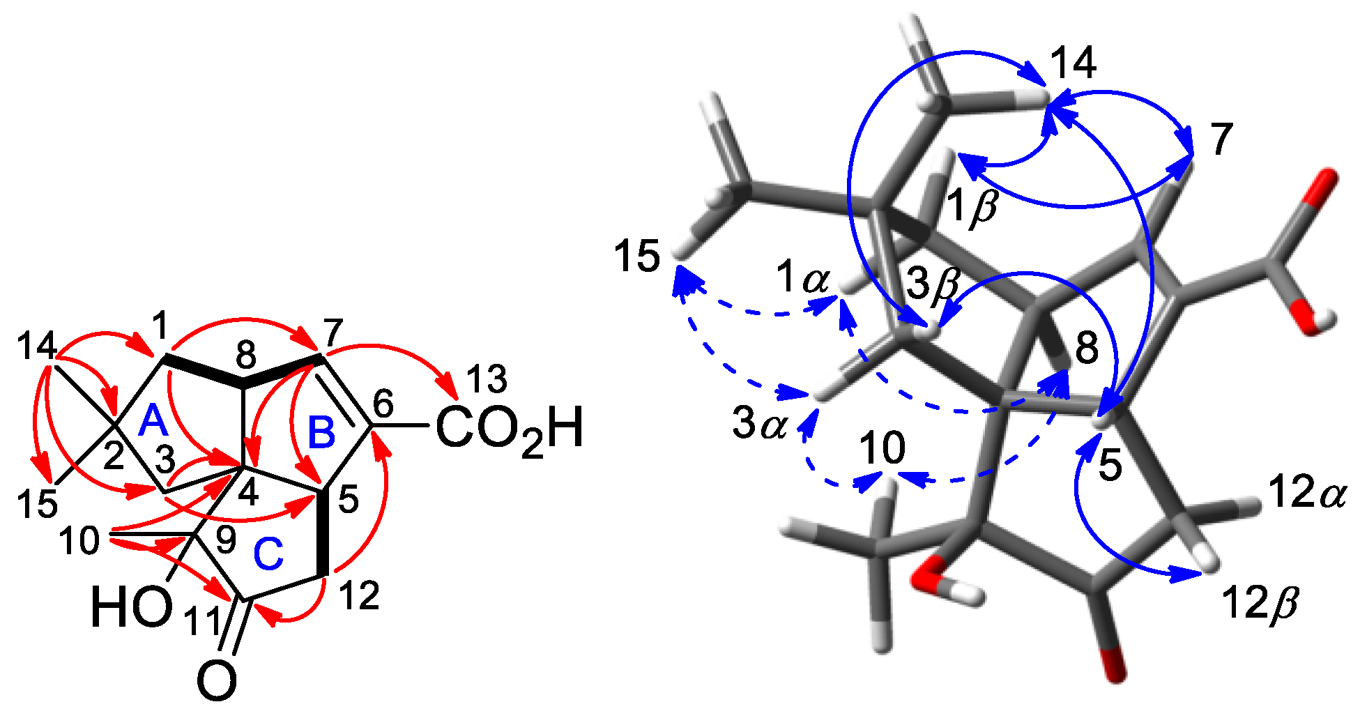 Molecules 26 07377 g003 Molecules 26 07377 g003