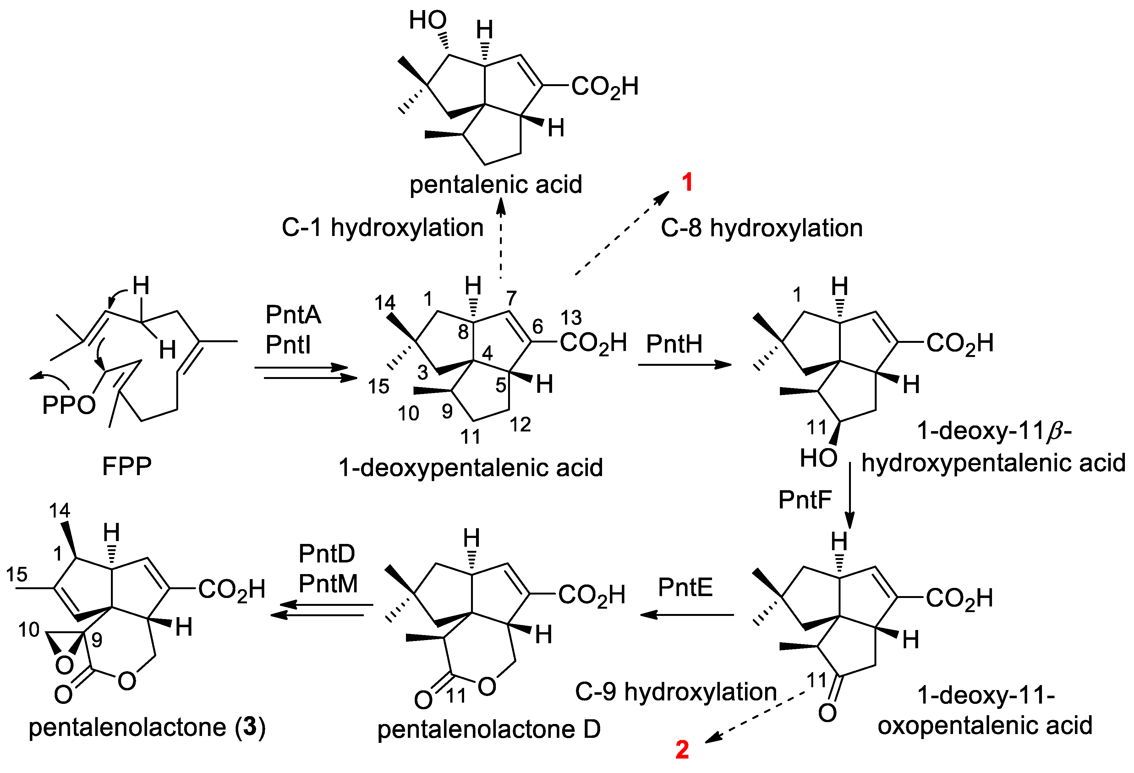 Molecules 26 07377 sch001 Molecules 26 07377 sch001