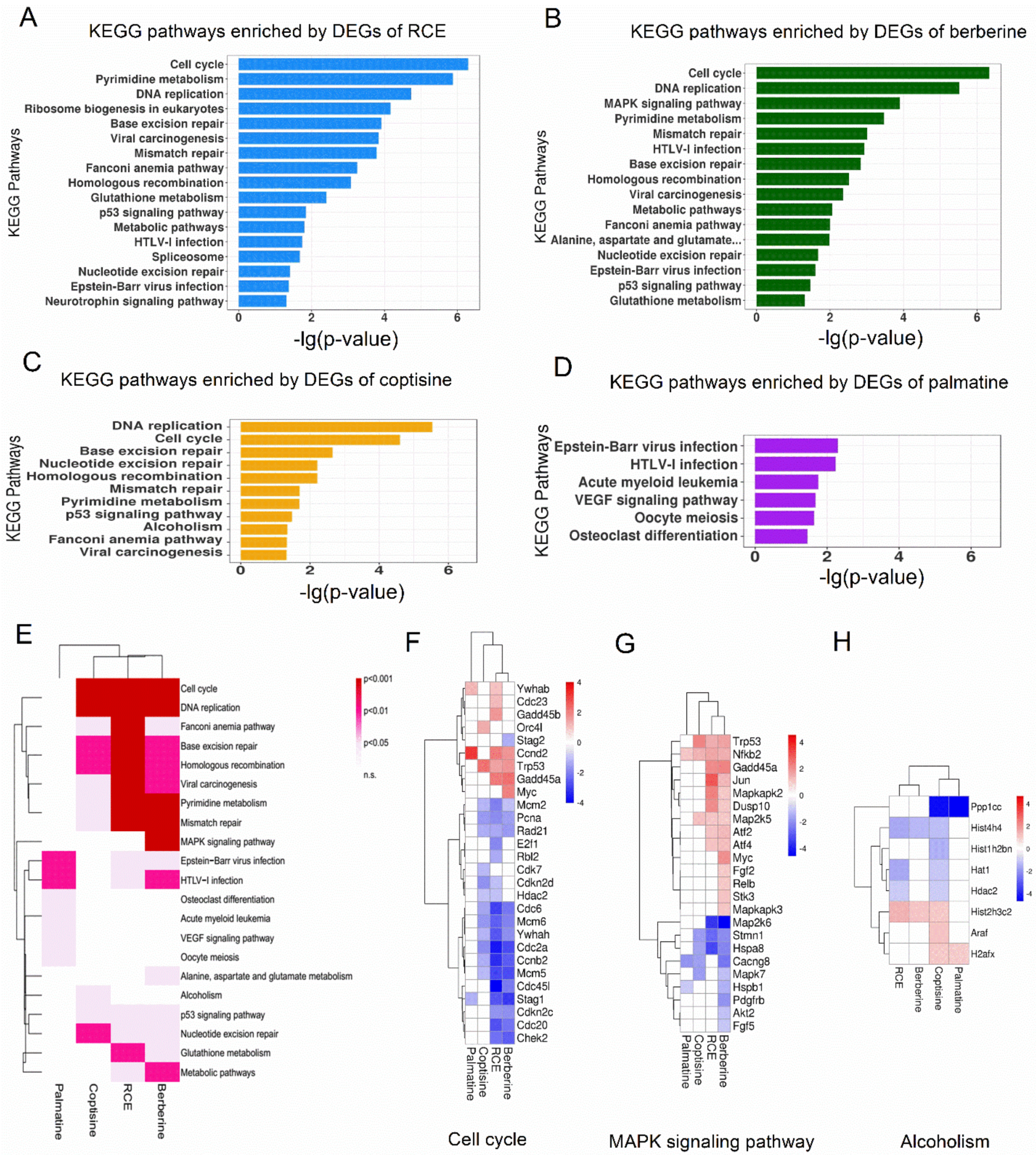 Molecules 26 07389 g004