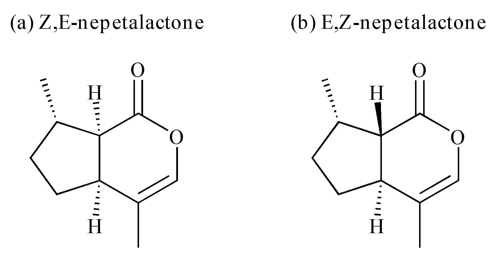 Molecules 26 07391 g001 Molecules 26 07391 g001