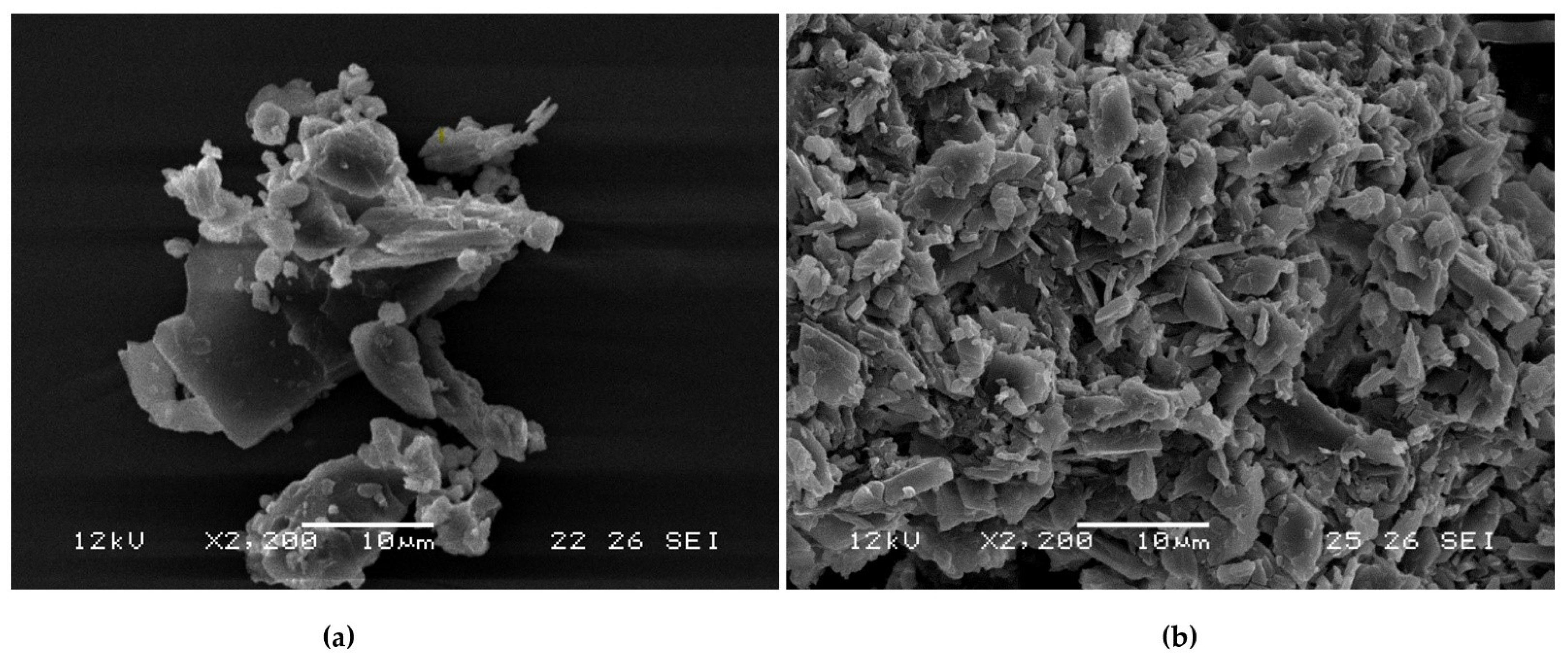 Molecules 26 07391 g005 Molecules 26 07391 g005
