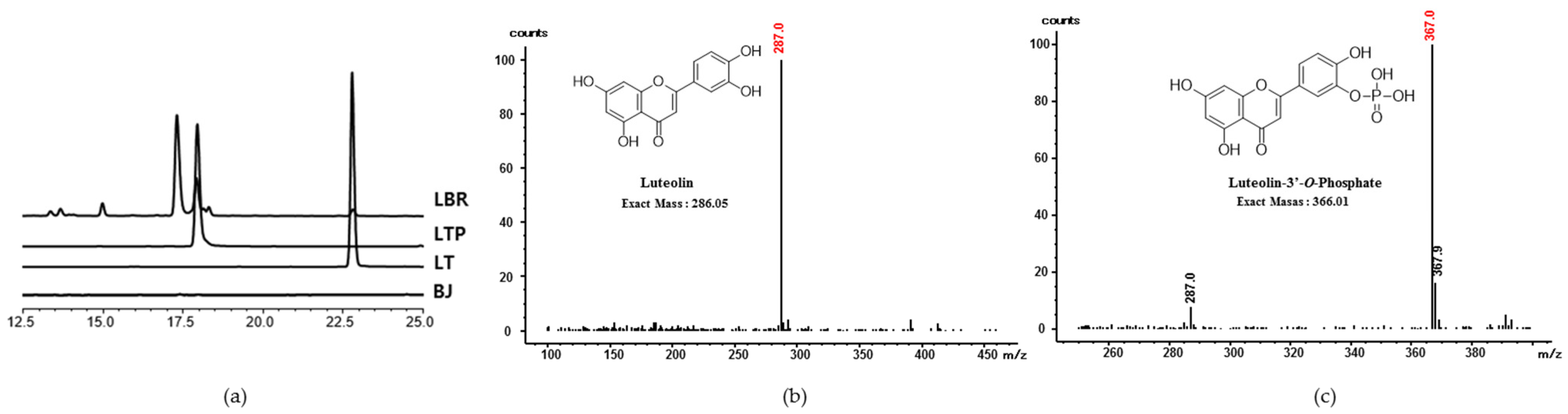 Molecules 26 07393 g001