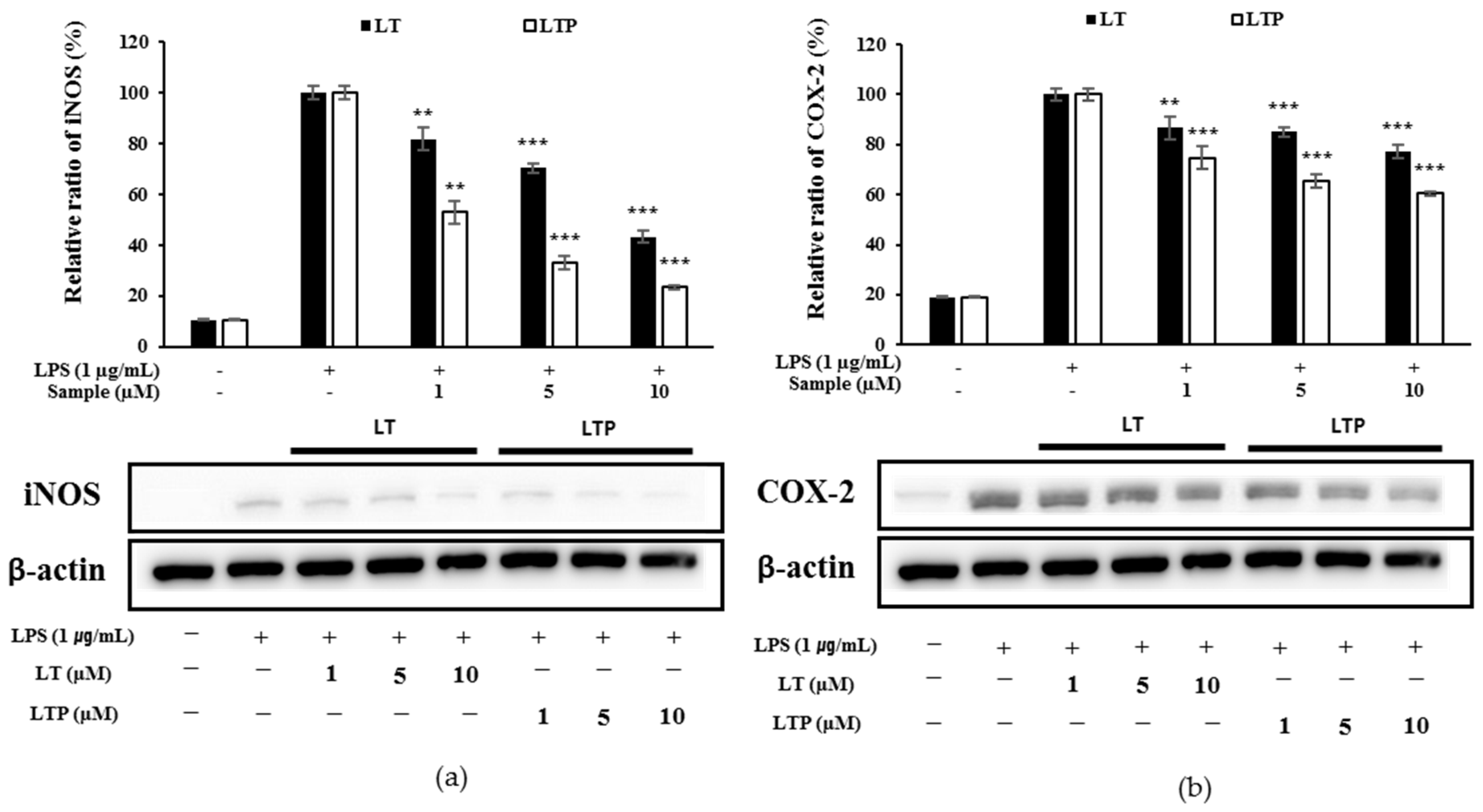 Molecules 26 07393 g004