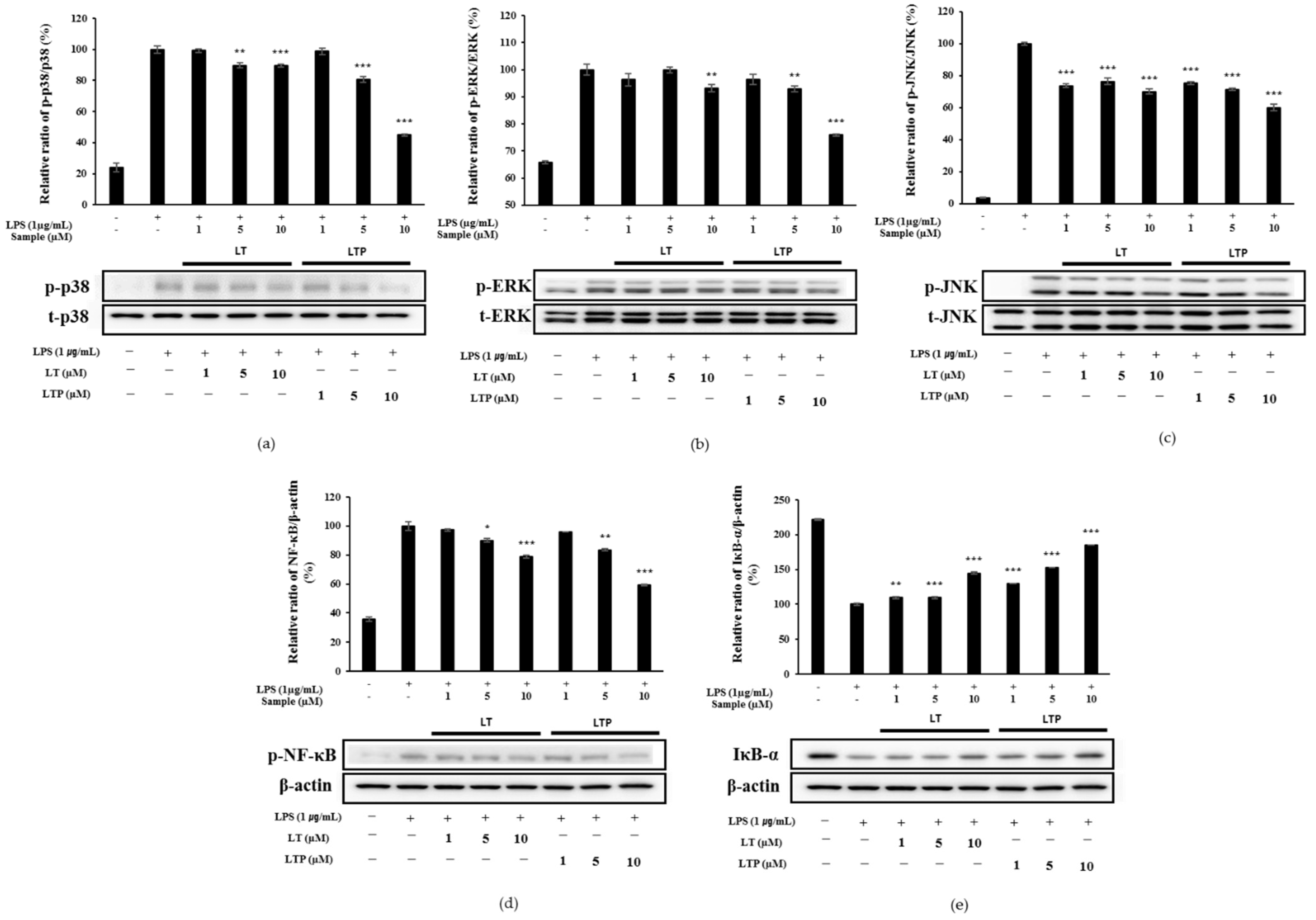 Molecules 26 07393 g006