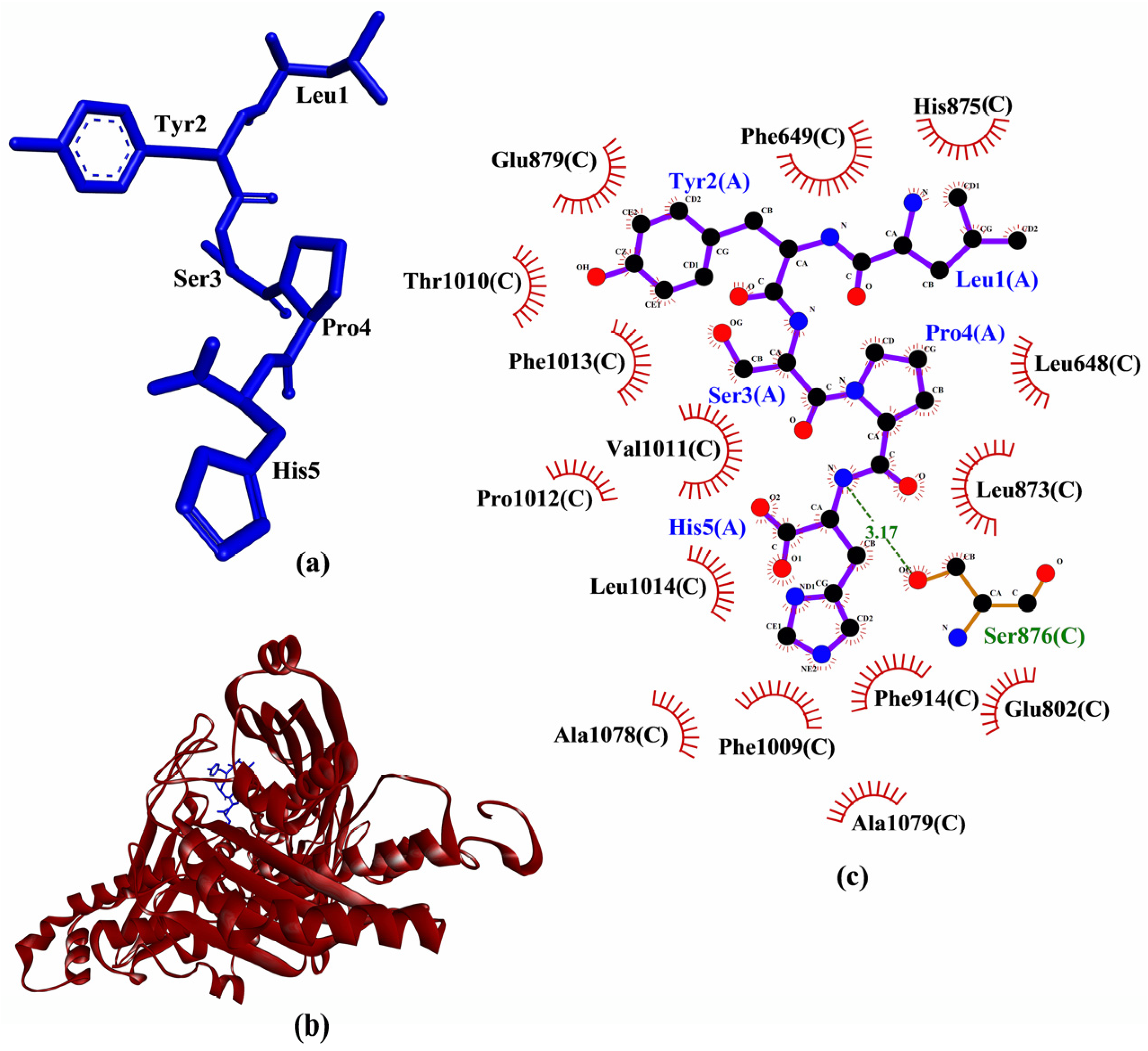 Molecules 26 07396 g005