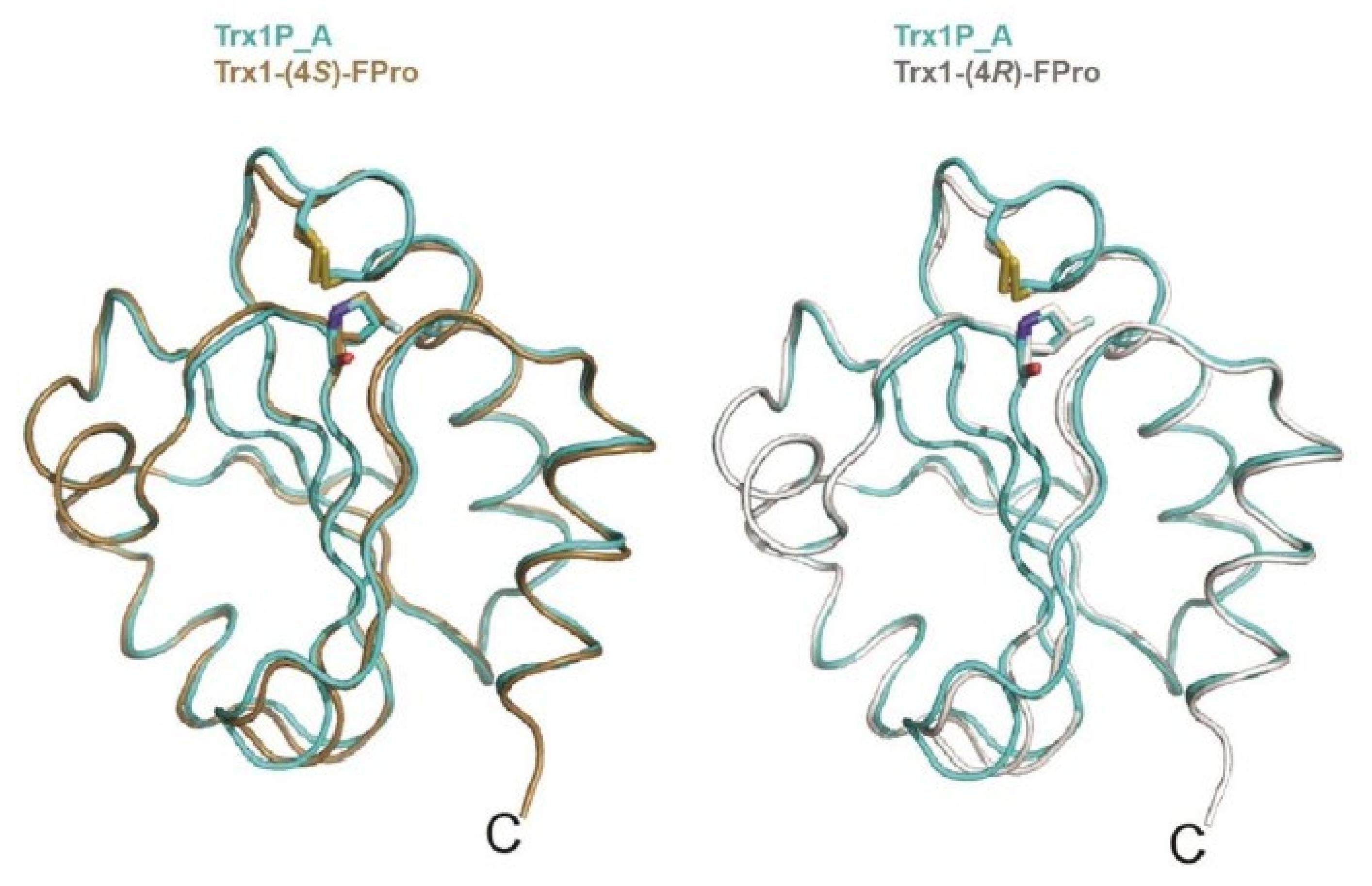 Molecules 26 07401 g003 Molecules 26 07401 g003