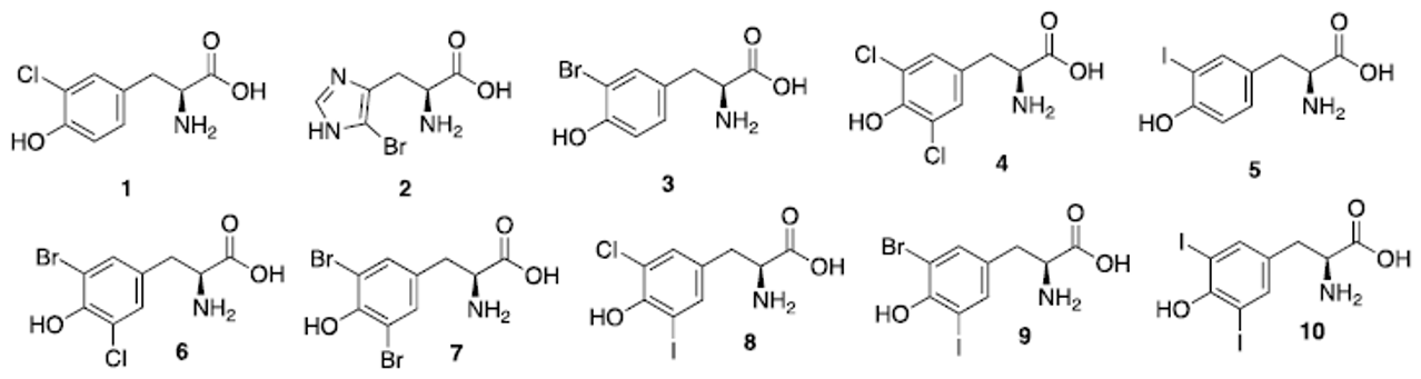 Molecules 26 07401 g004 Molecules 26 07401 g004