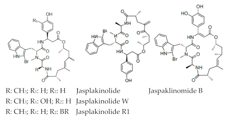 Molecules 26 07401 i005