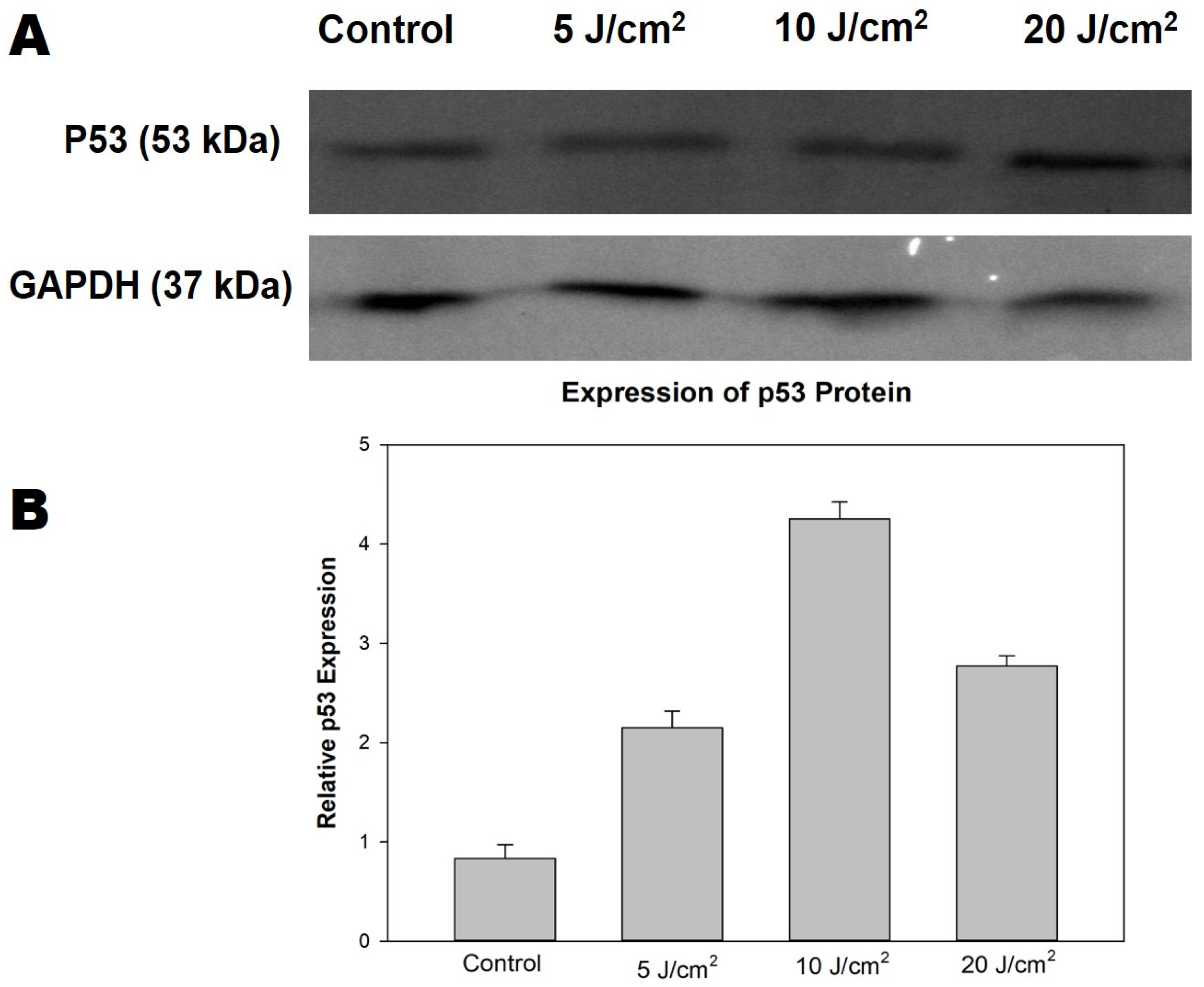Molecules 26 07412 g005