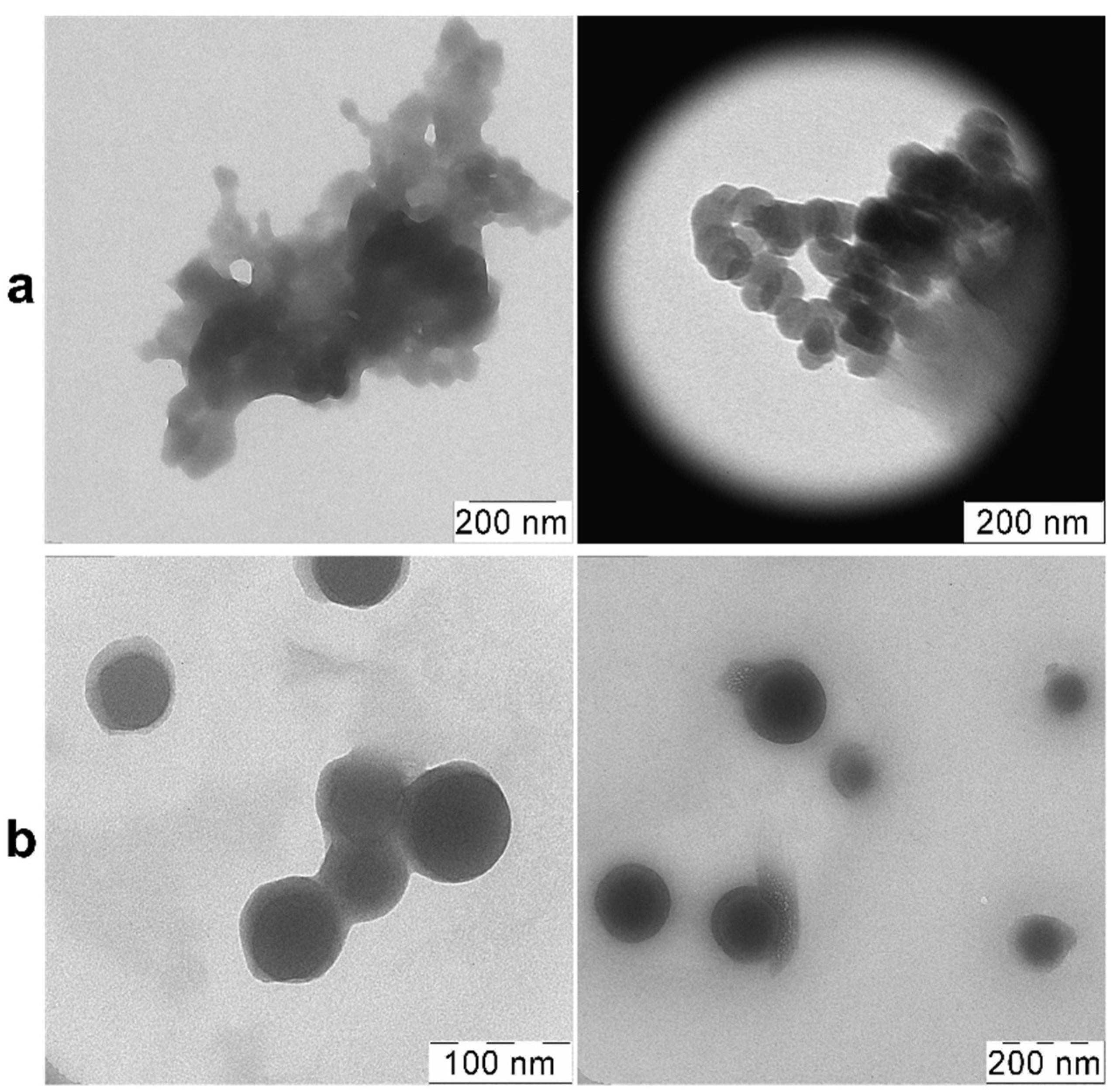 Molecules 26 07426 g005