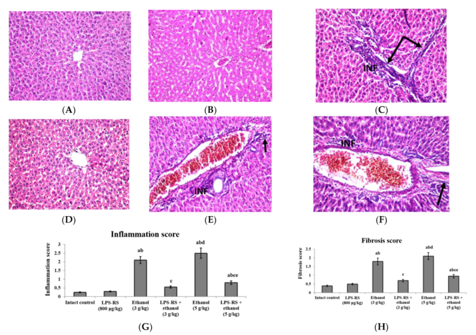 Molecules 26 07437 g006 Molecules 26 07437 g006