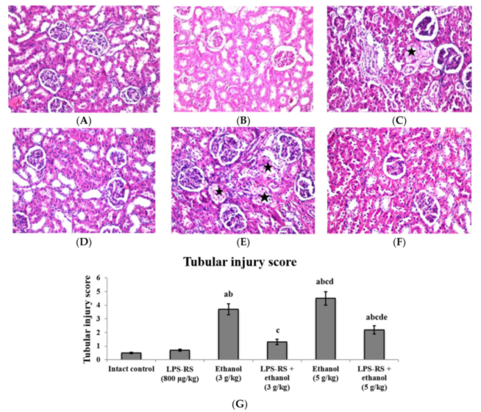 Molecules 26 07437 g007 Molecules 26 07437 g007
