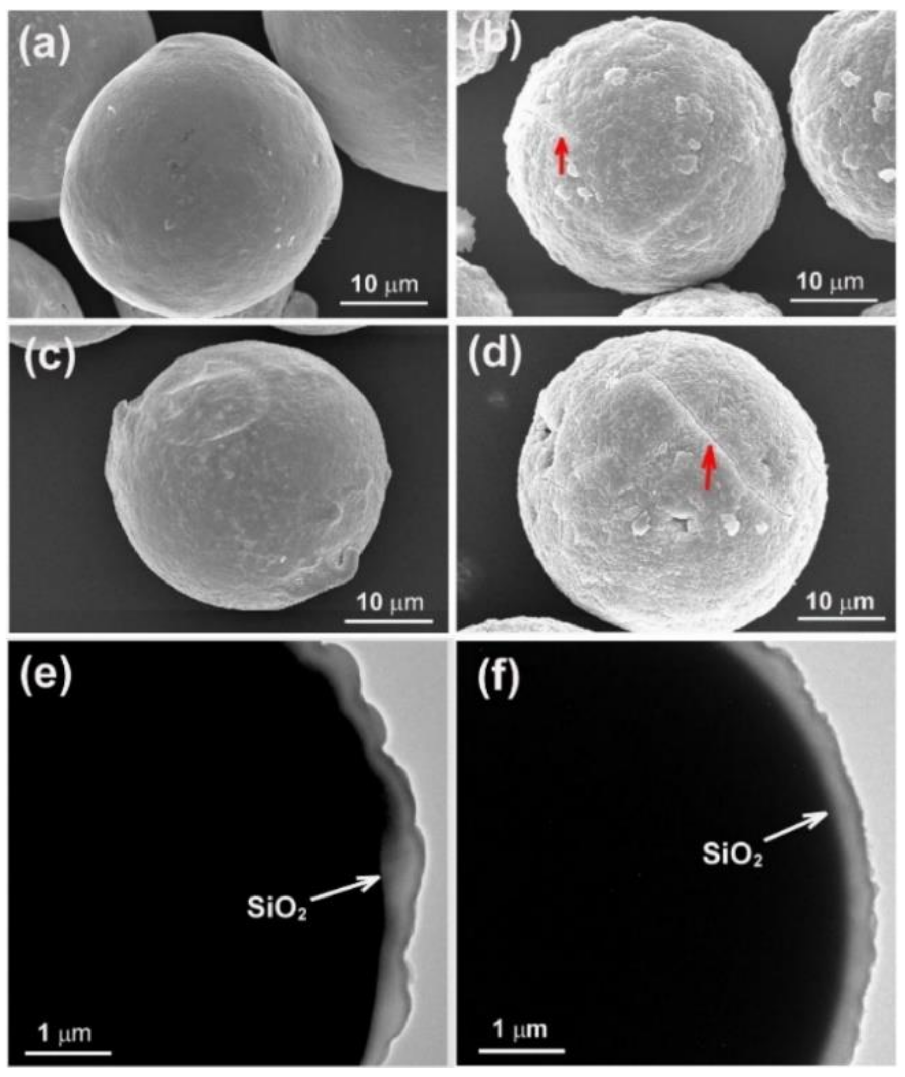 Molecules 26 07449 g013 Molecules 26 07449 g013