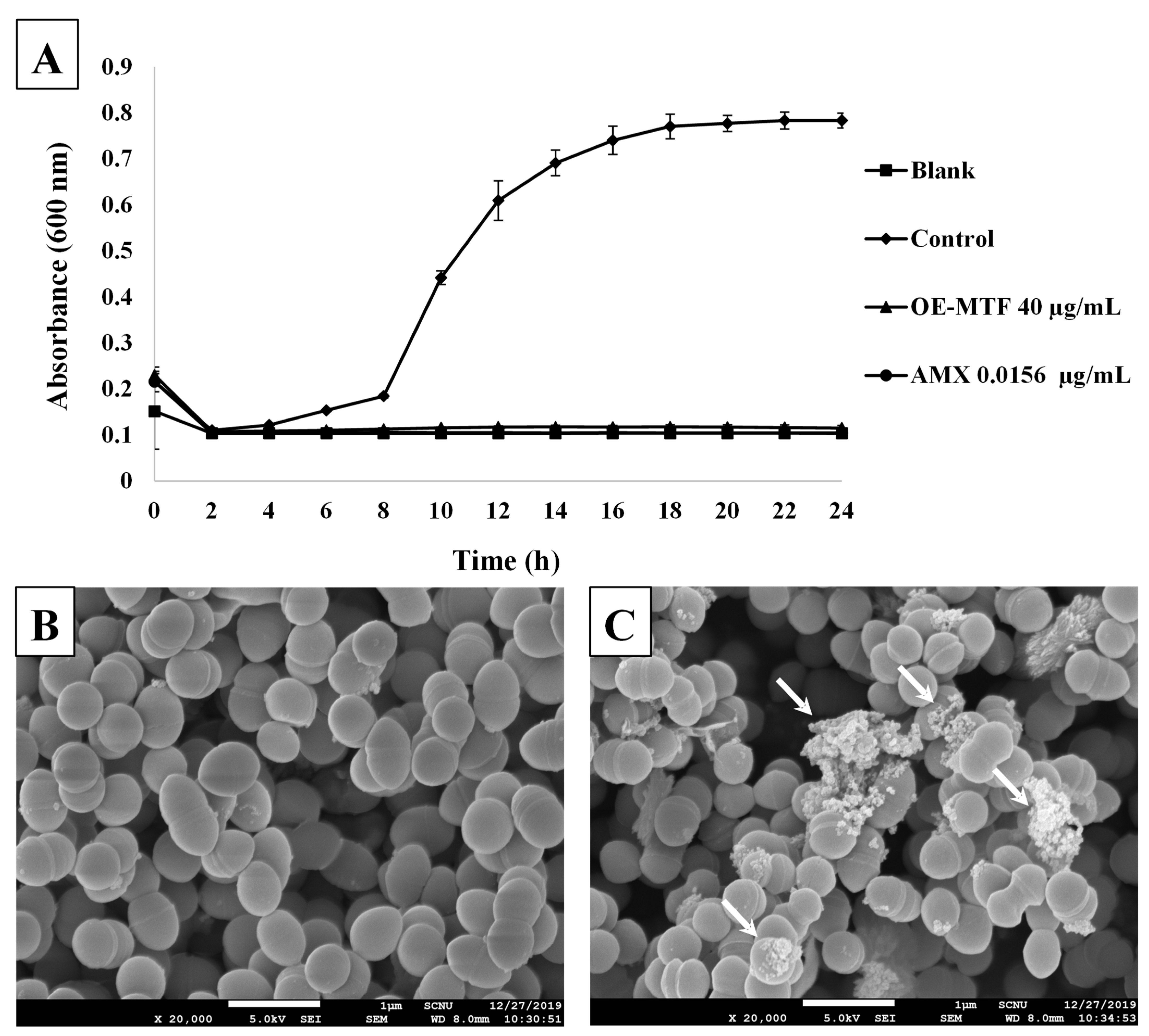 Molecules 26 07451 g004 Molecules 26 07451 g004