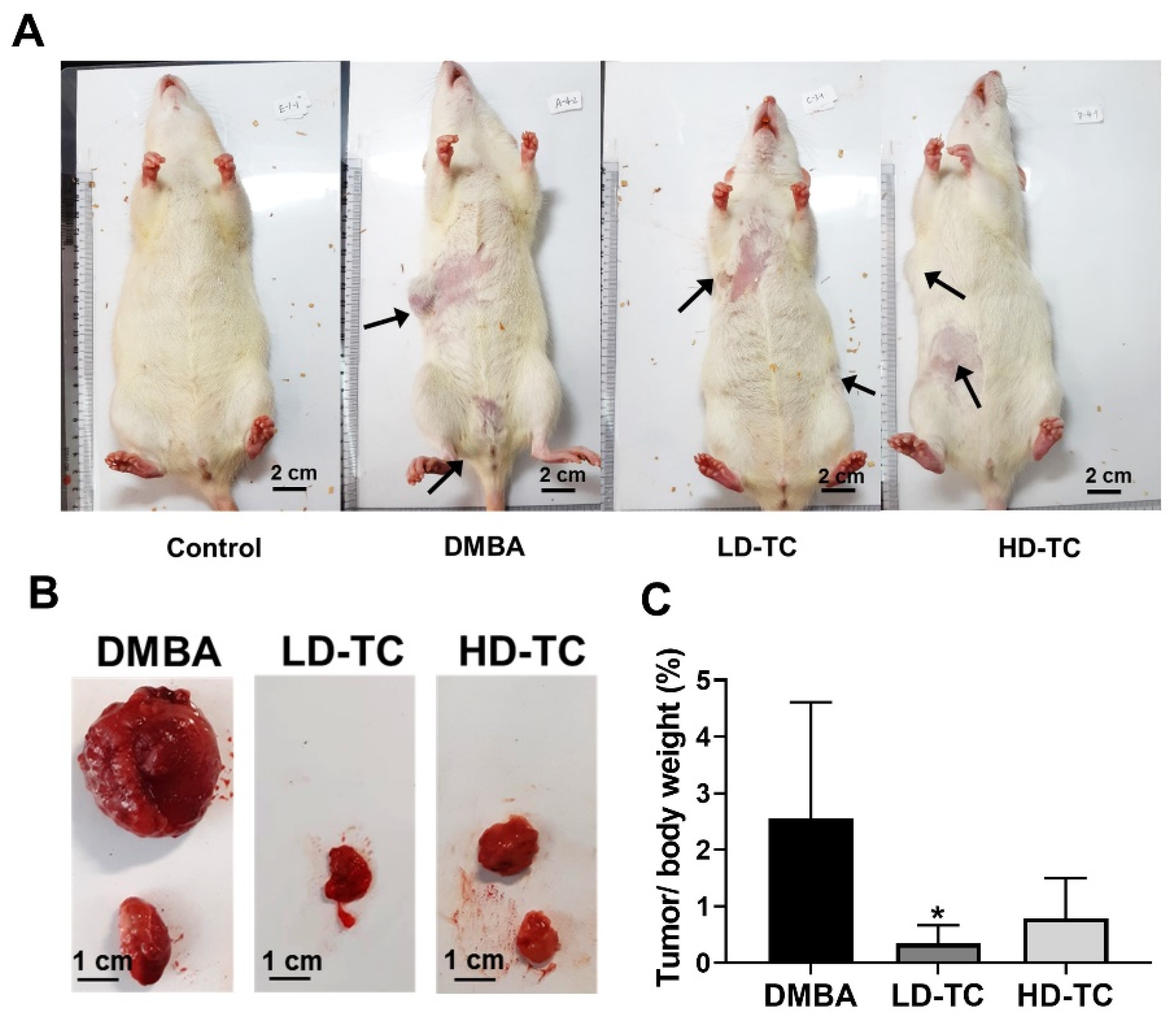 Molecules 26 07455 g004