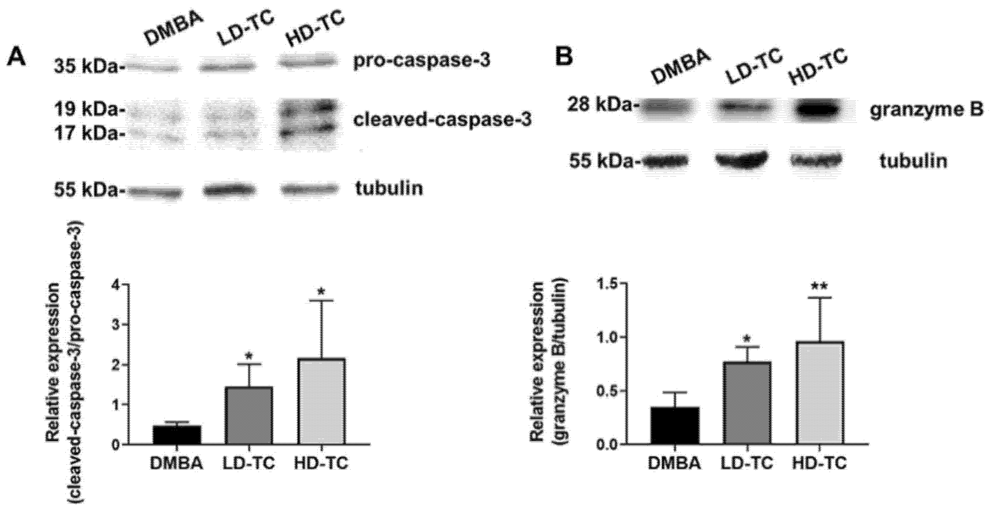 Molecules 26 07455 g005