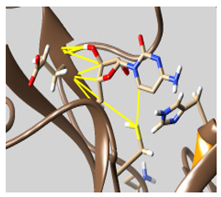 Molecules 26 07458 i036