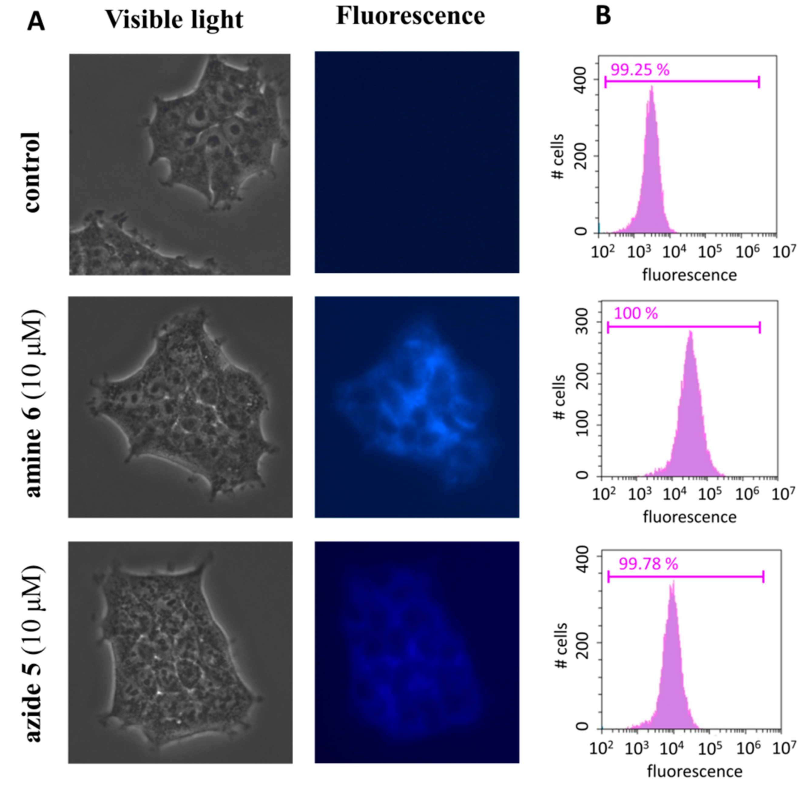 Molecules 26 07460 g007 Molecules 26 07460 g007