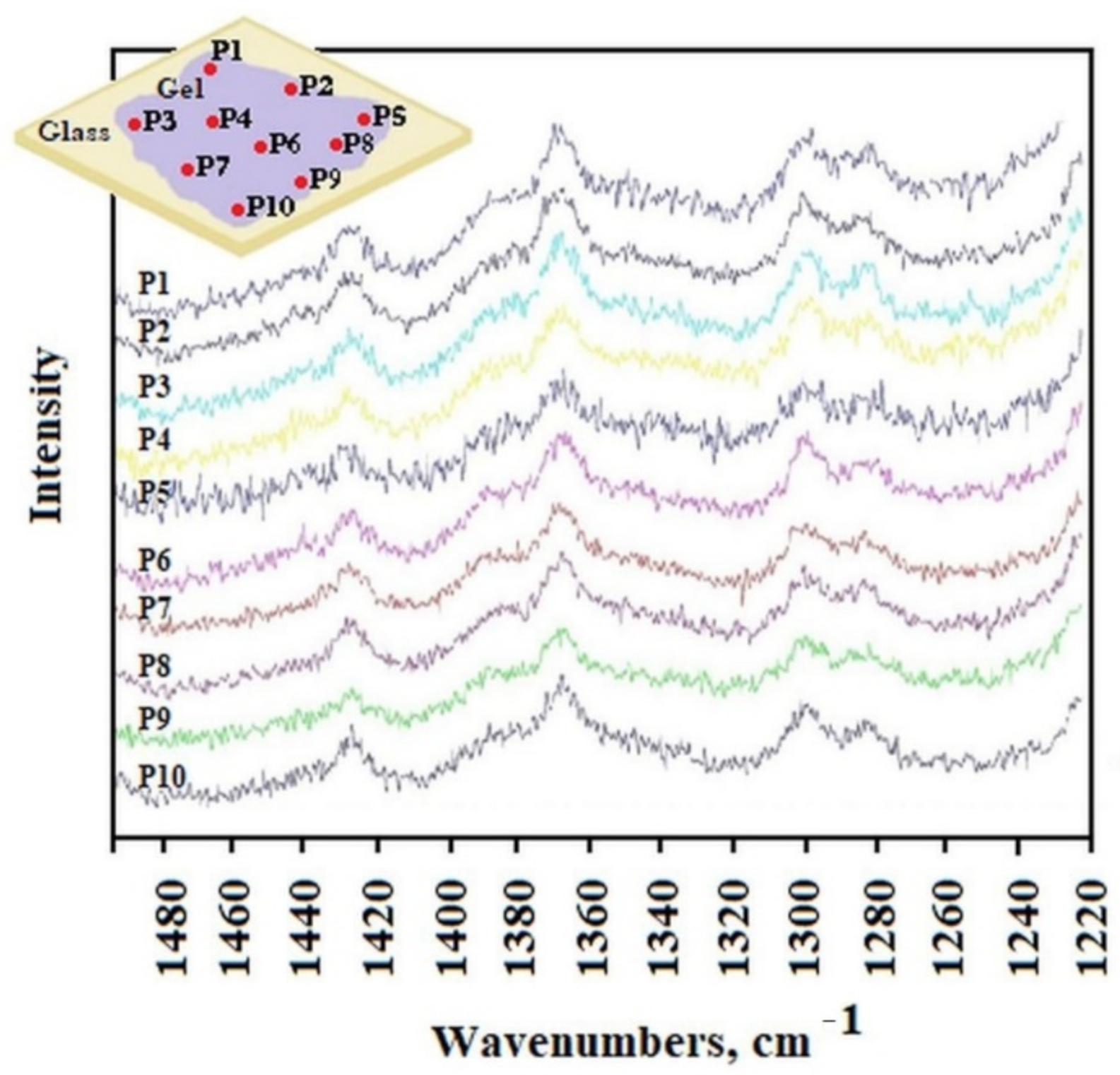 Molecules 26 07462 g004