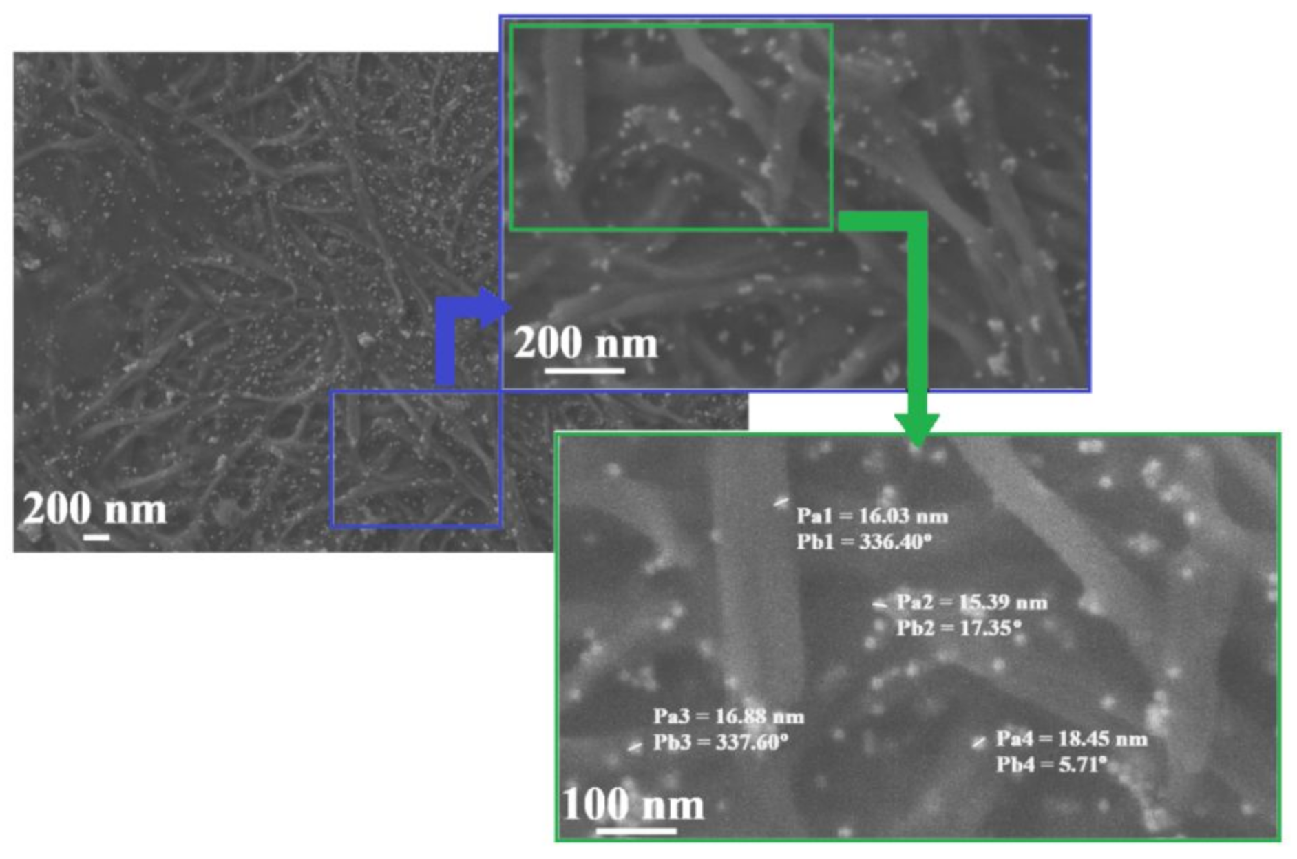 Molecules 26 07462 g006