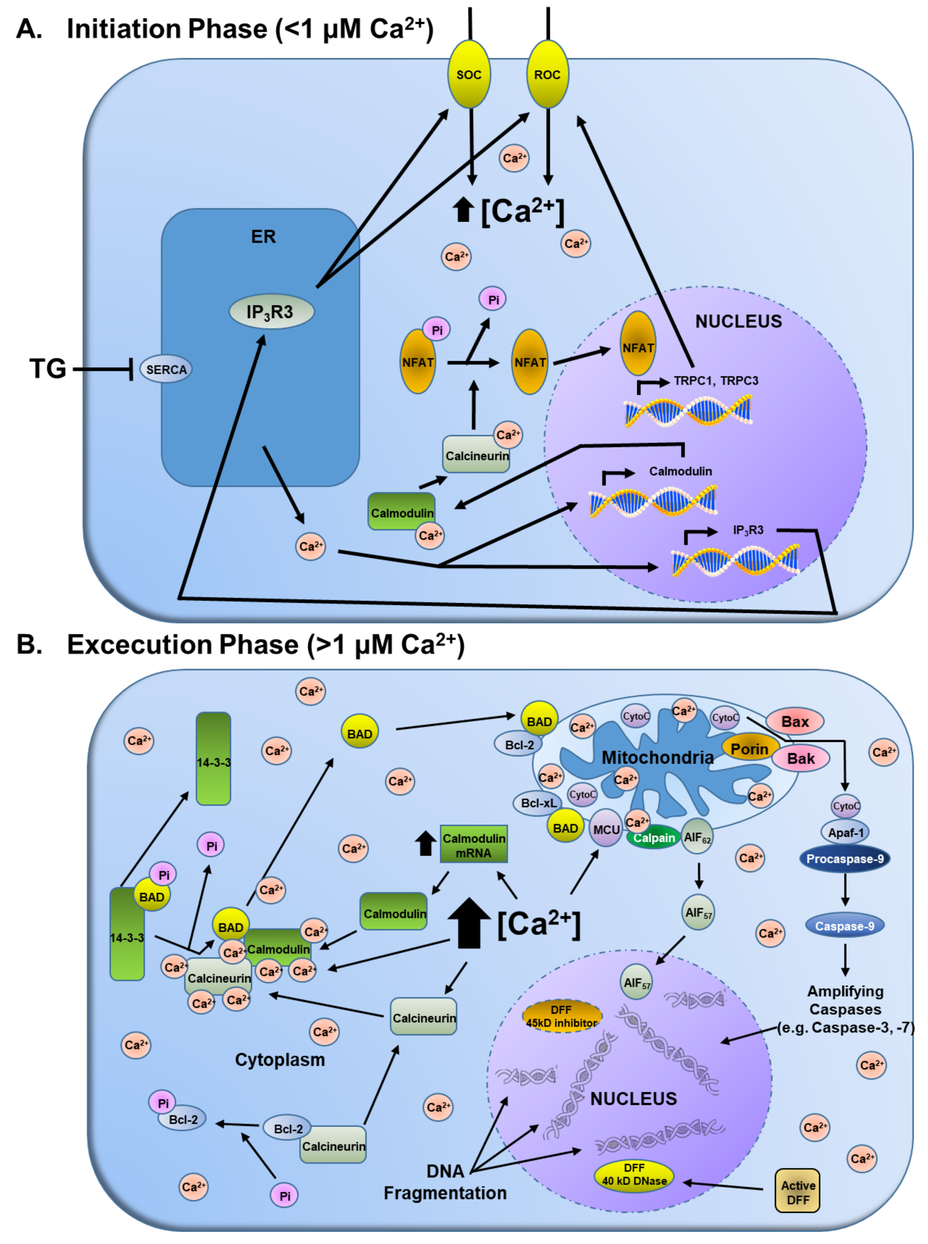 Molecules 26 07469 g005