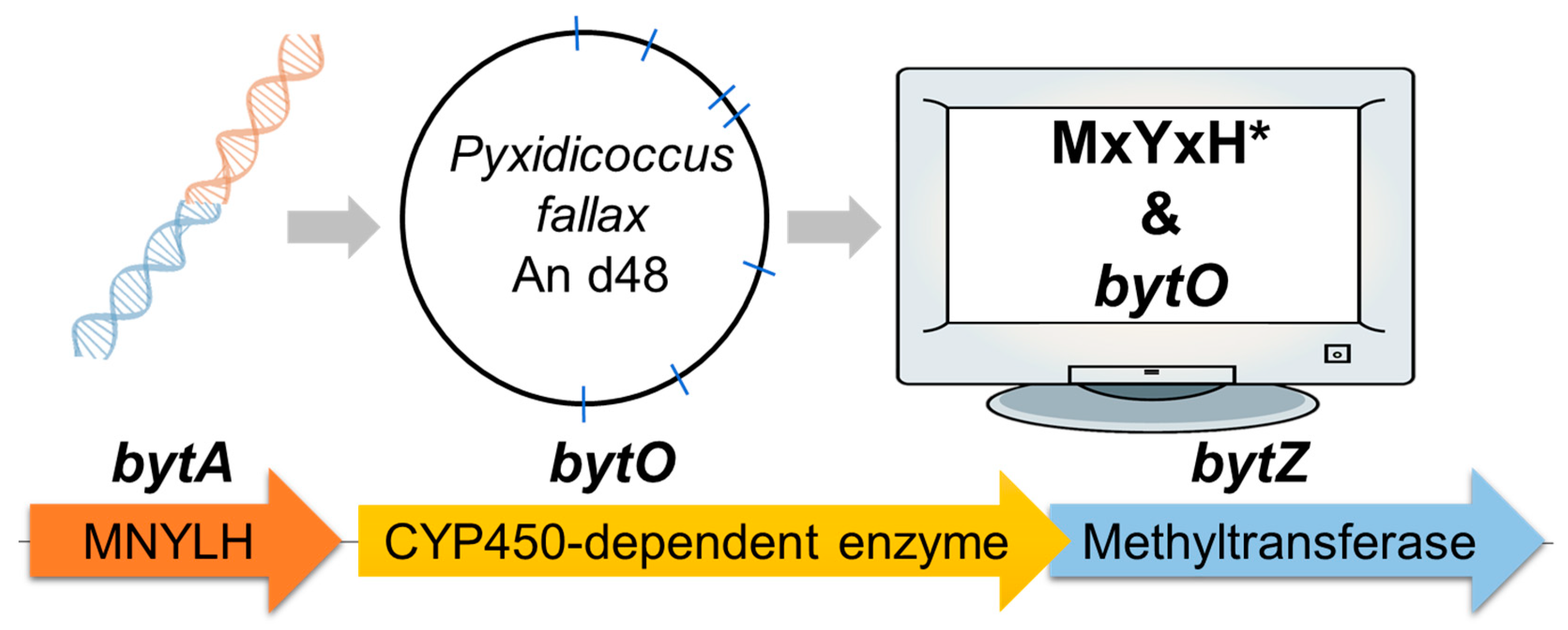 Molecules 26 07483 g002