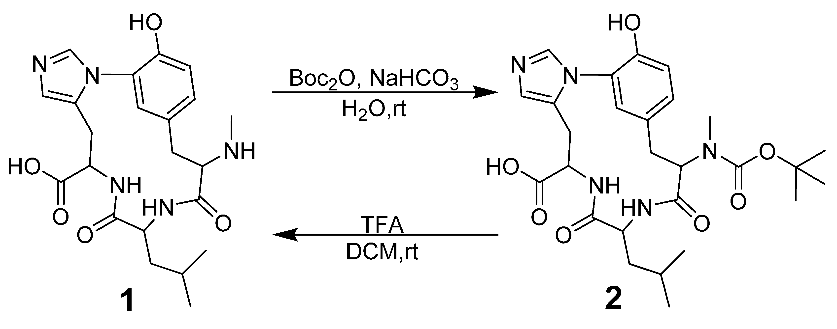 Molecules 26 07483 sch001