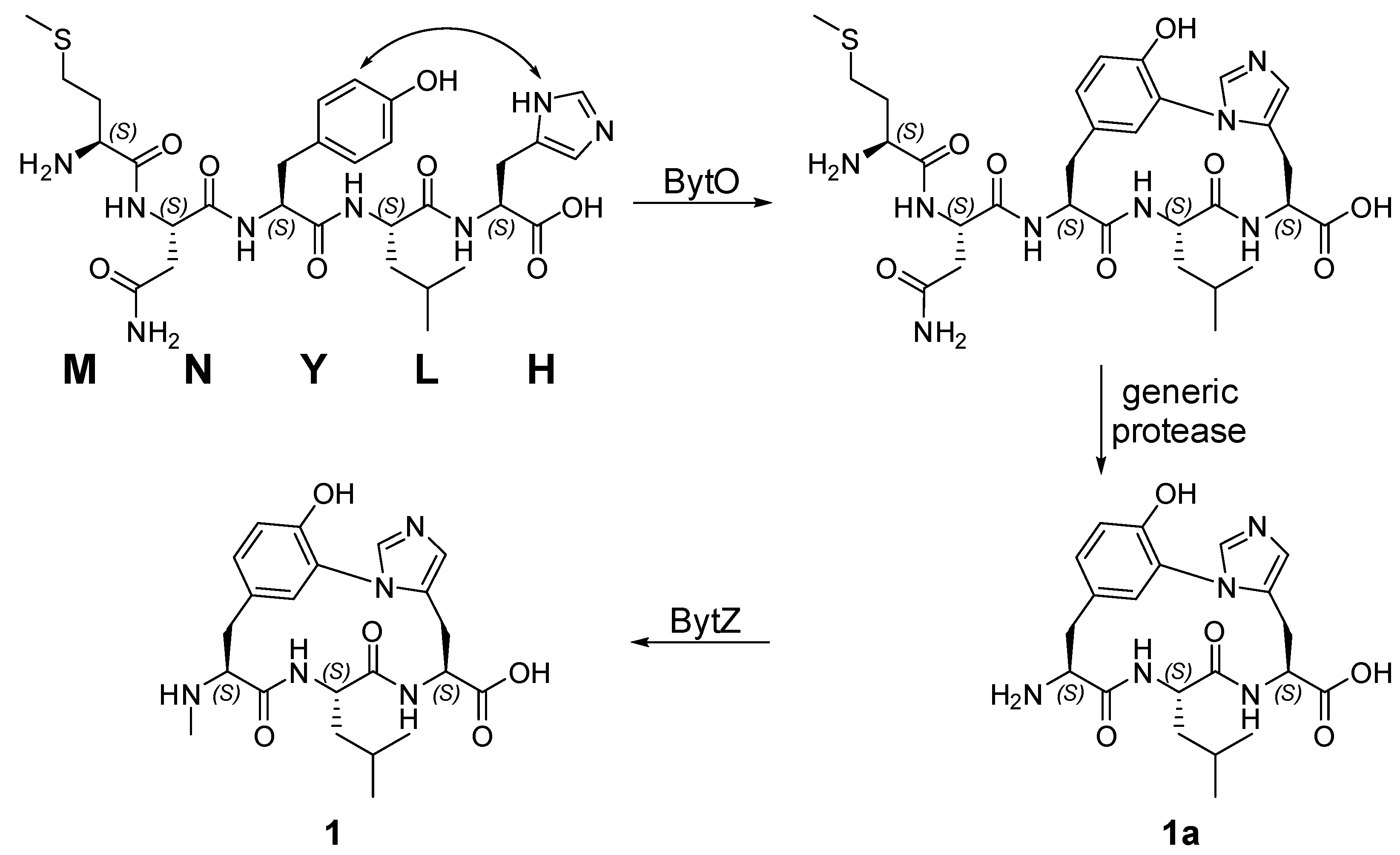 Molecules 26 07483 sch002